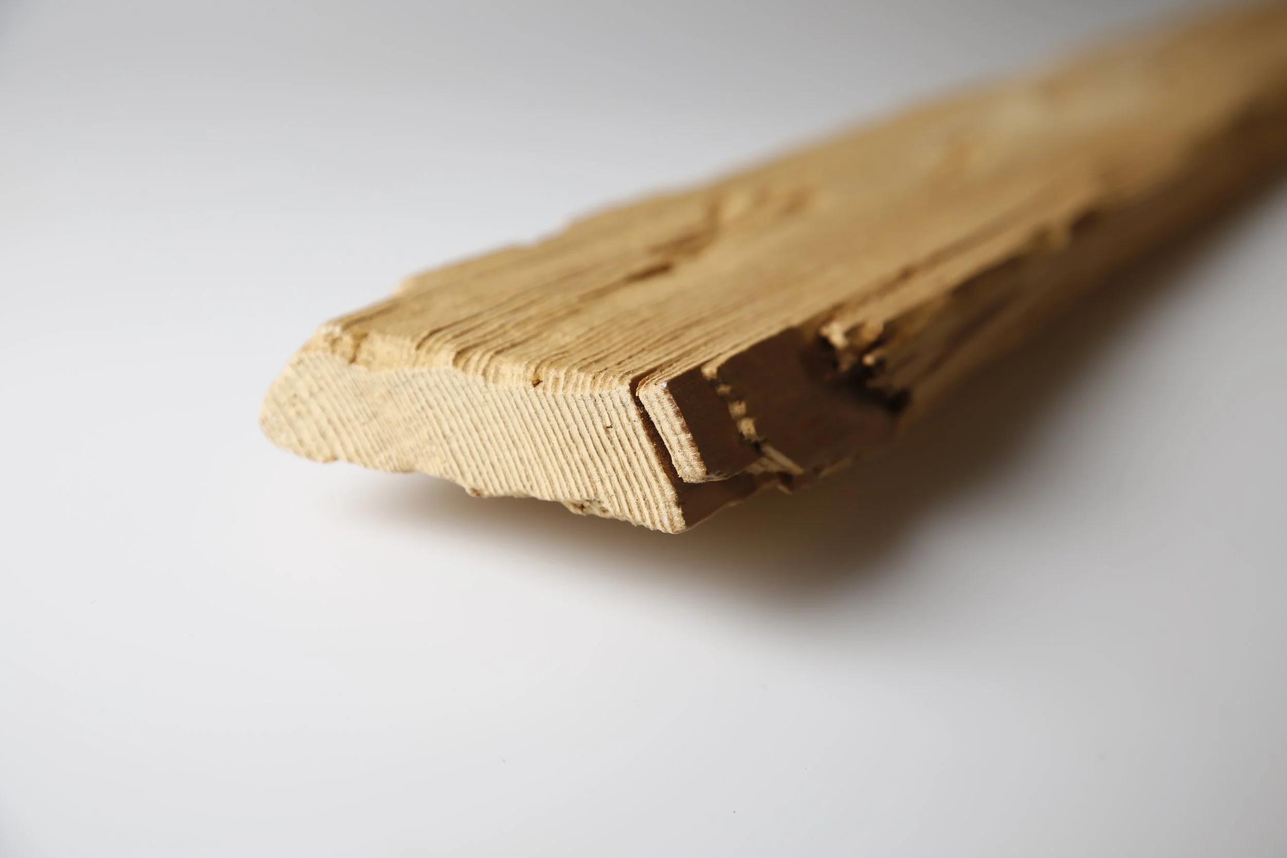 Nahaufnahme eines Holzstücks mit sichtbaren Jahresringen und Textur, im Fokus im Bildzentrum, vor hellem Hintergrund.