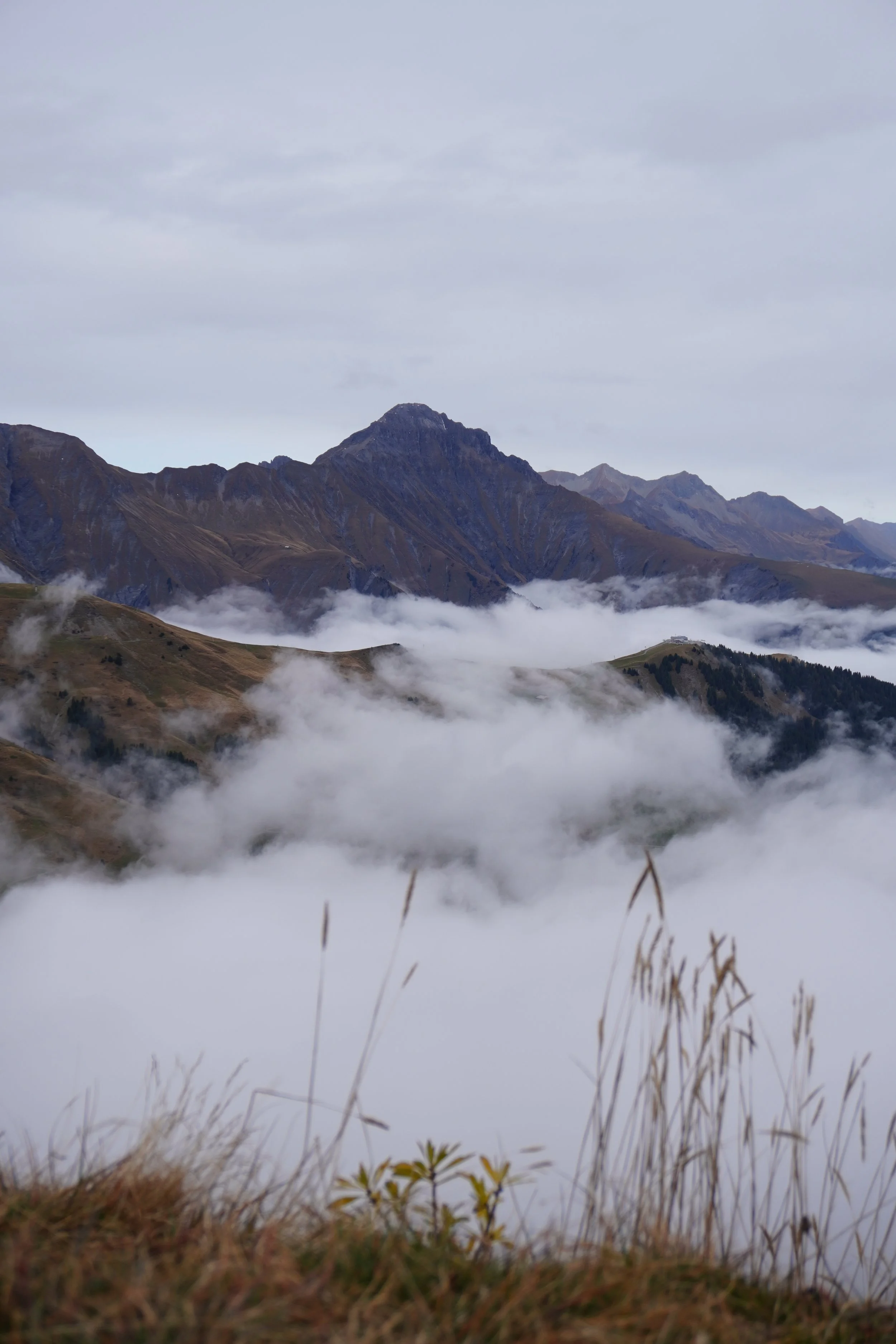 Berglandschaft mit Wolken im Tal, schneebedeckte Berge im Hintergrund und Trockenpflanzen im Vordergrund.