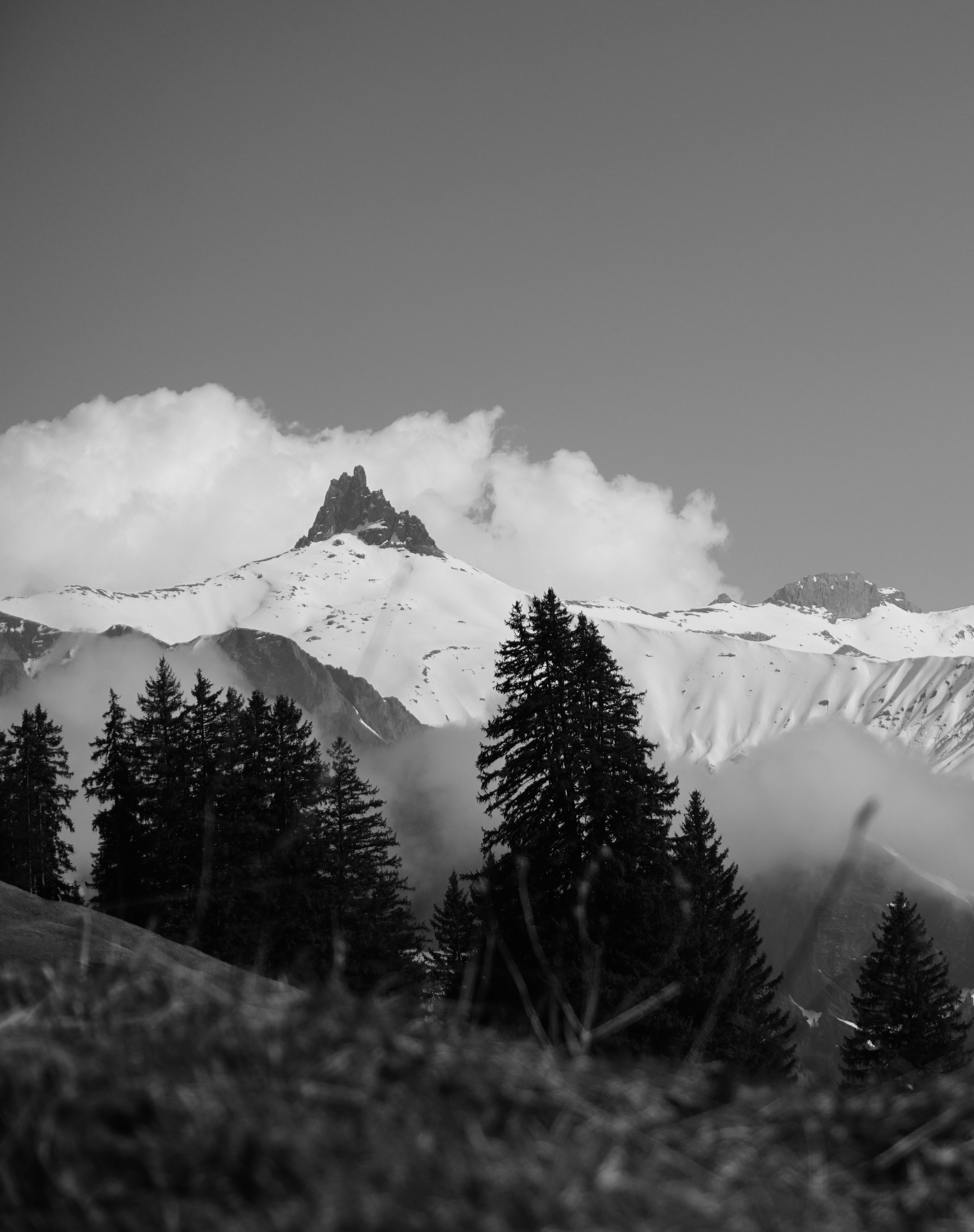 Schneebedeckte Berge mit schroffen Gipfeln, dunkle Tannen im Vordergrund, unter einem Himmel mit wenigen Wolken, in schwarz-weiß