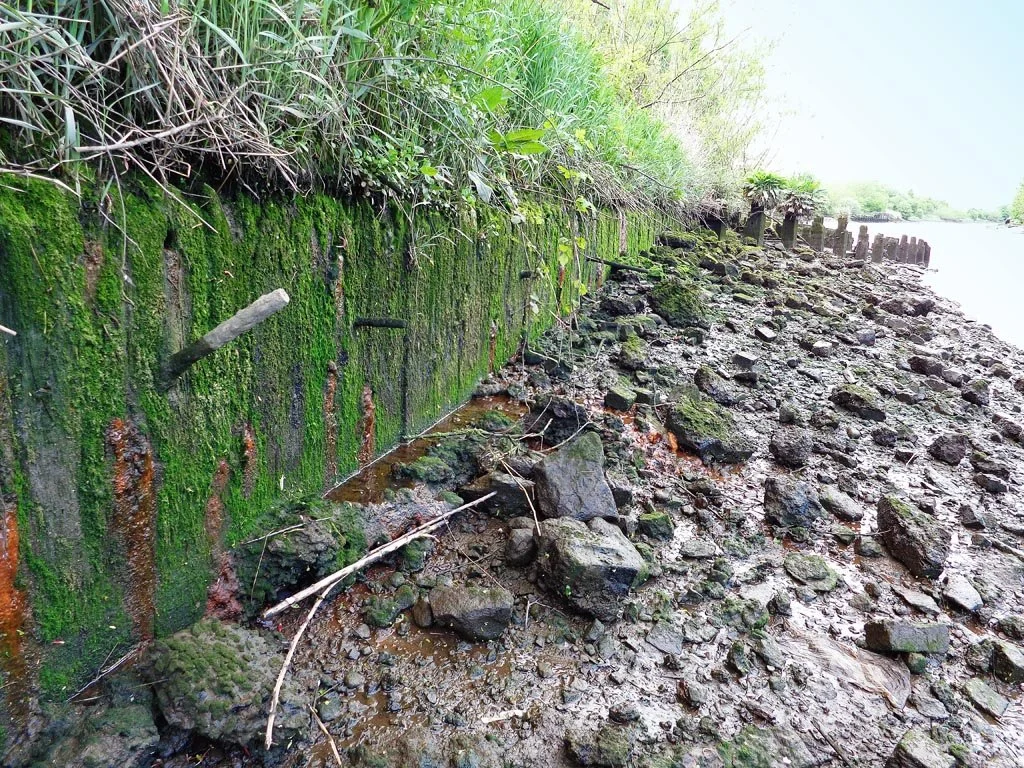 The timber seawall