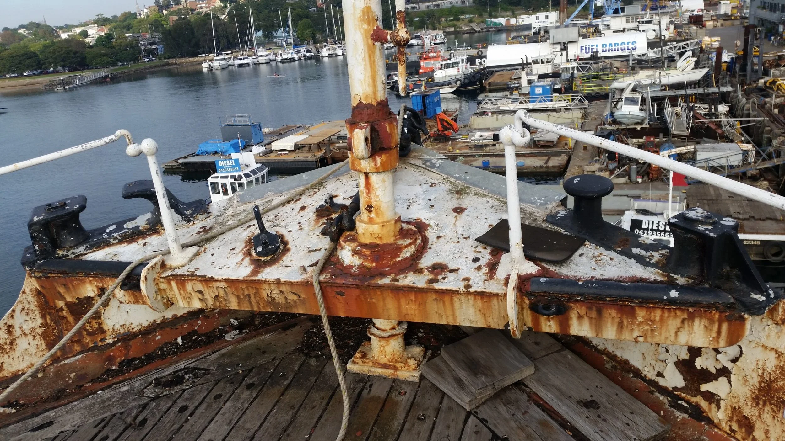 20190413_080141-scaled.jpg