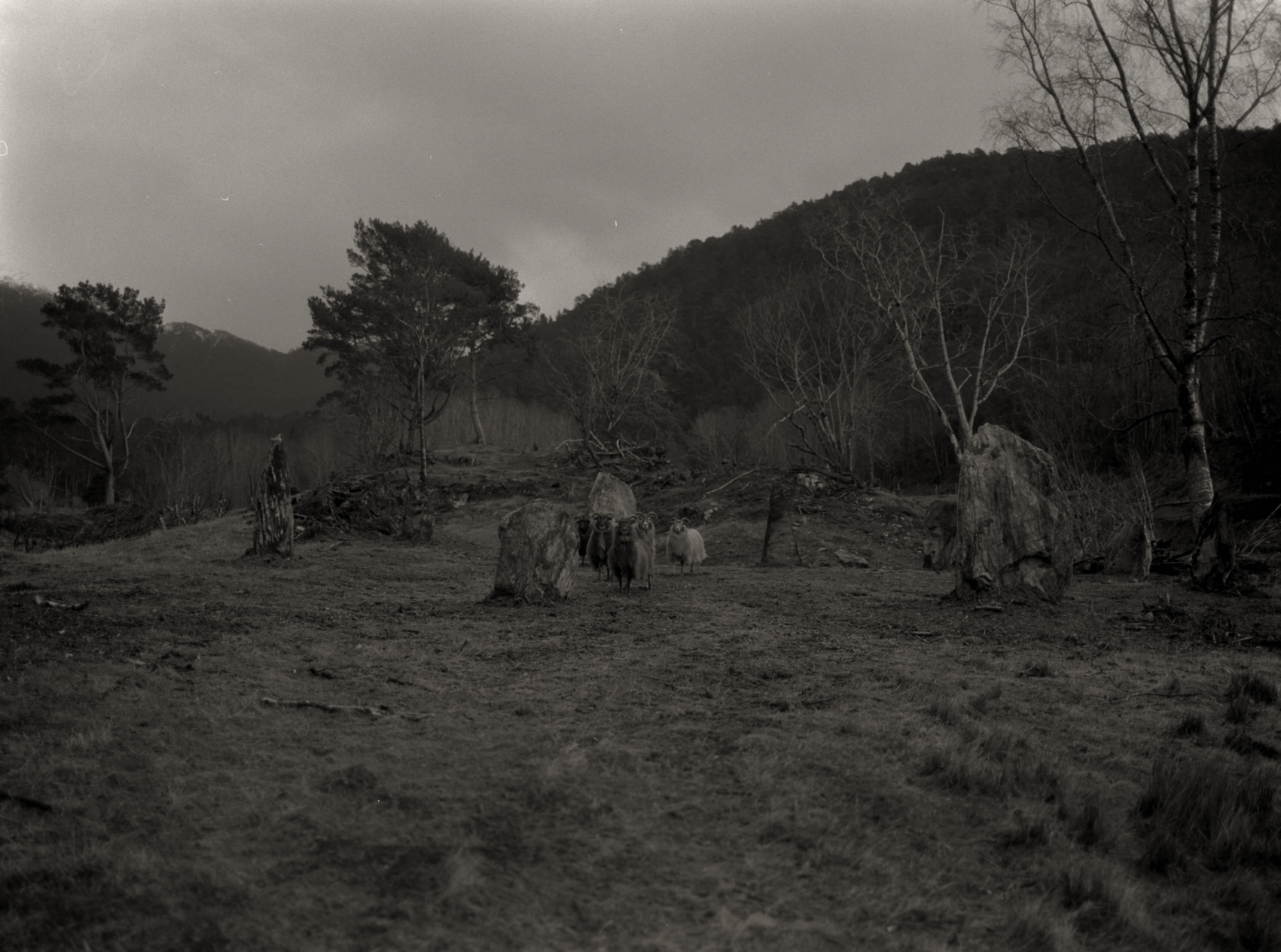 Skjermbilde 2026-04-22 kl. 13.05.21.png