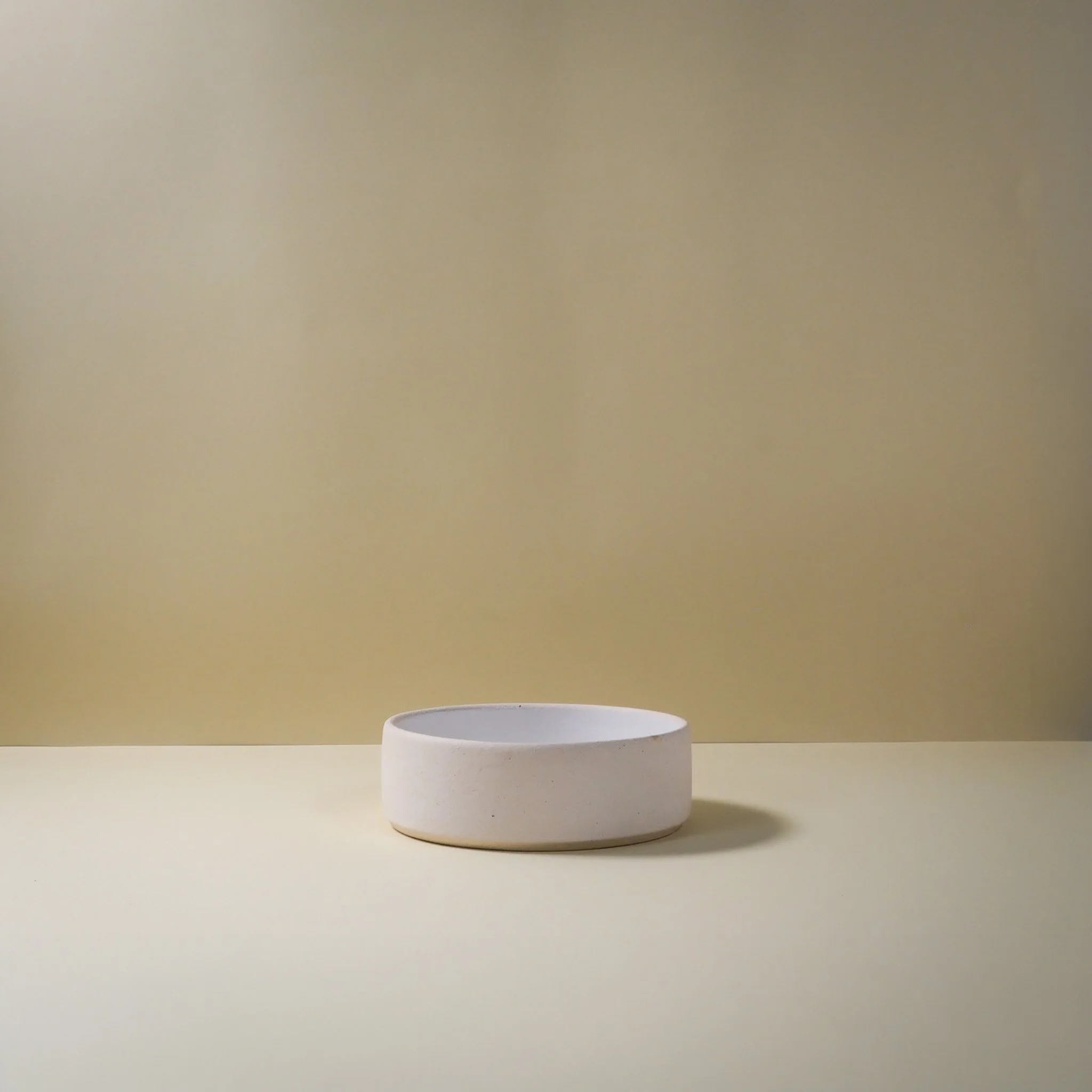 Dog Bowl