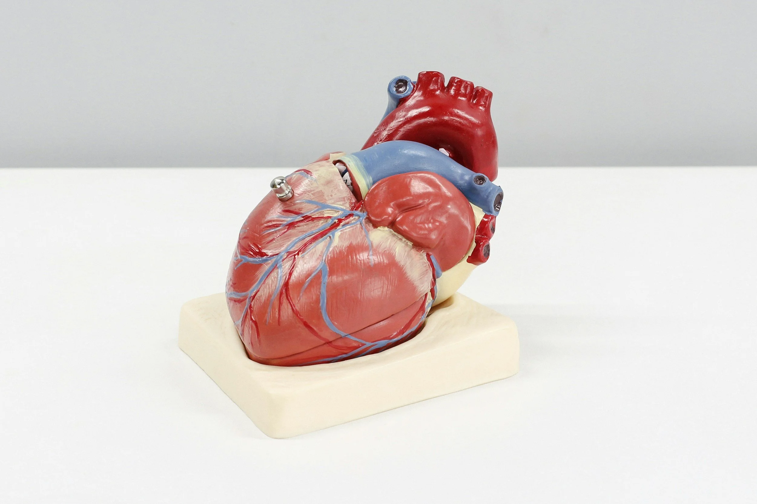 Gestion des facteurs de risques cardiovasculaires