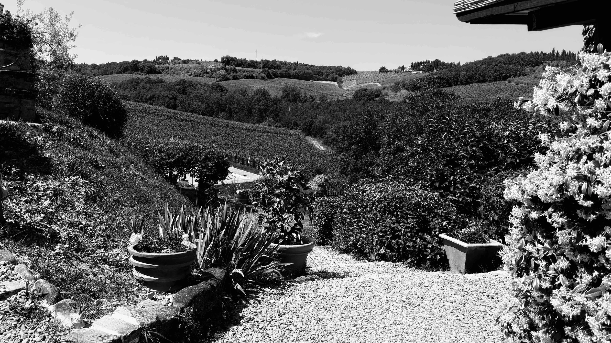 A little hello from Tuscany