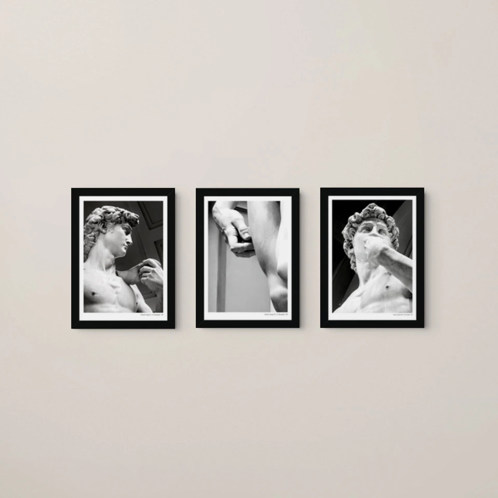 a4_framed david trio-medium (2).jpg
