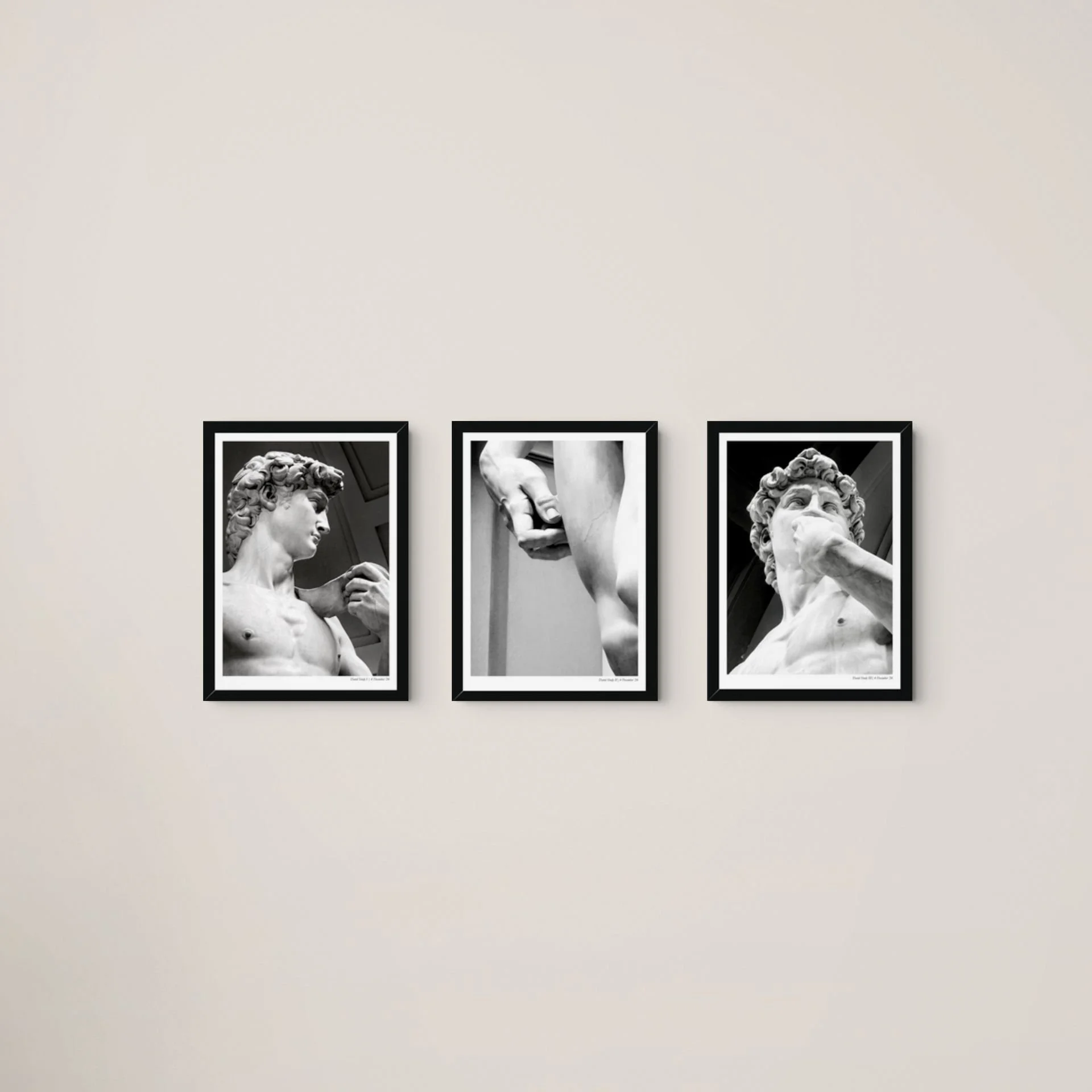 david study i_a3 framed-medium.jpg