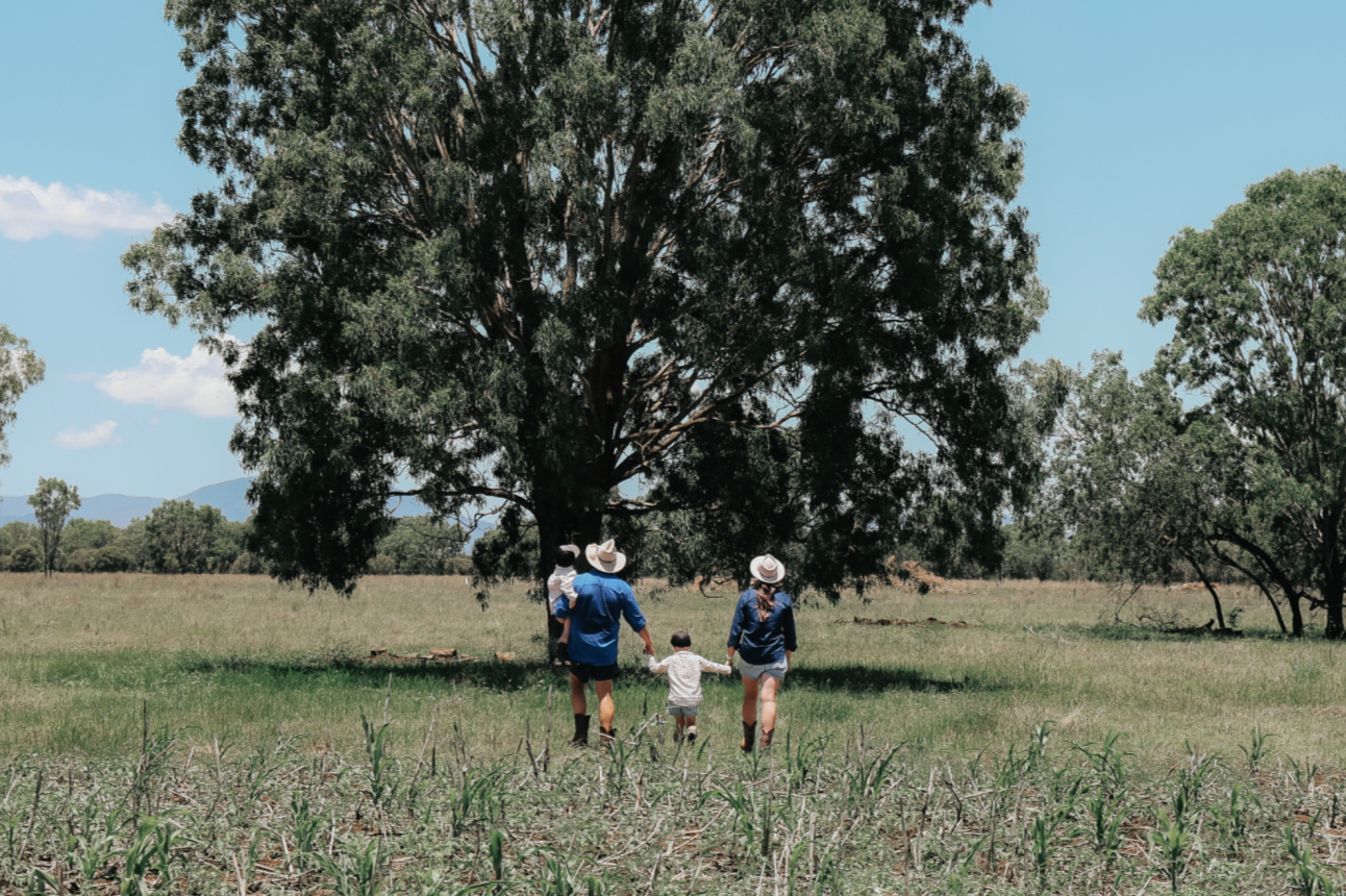 Regenerative farming