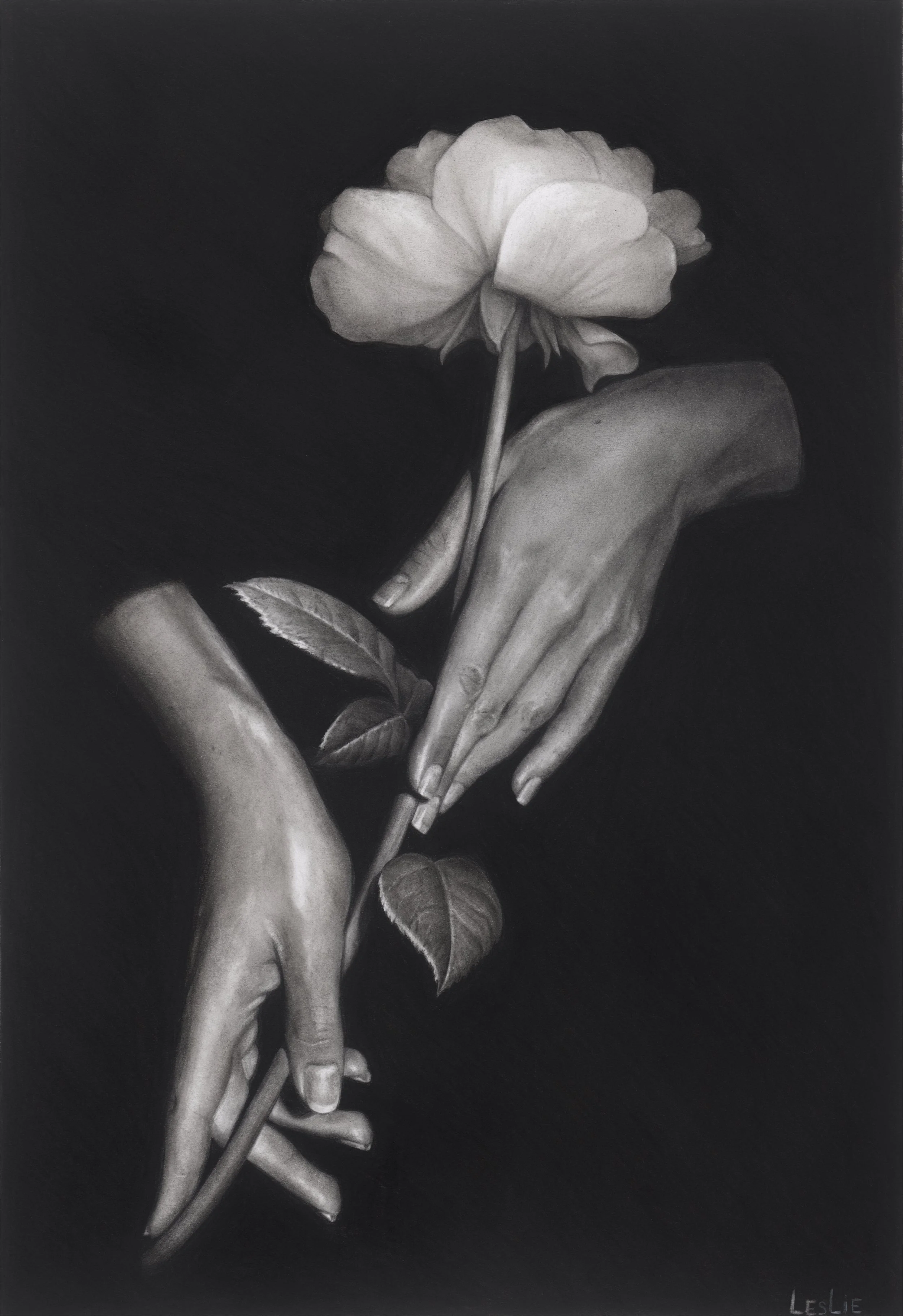 Gentle gift , 2025. Charcoal on paper, 56x38.5 cm