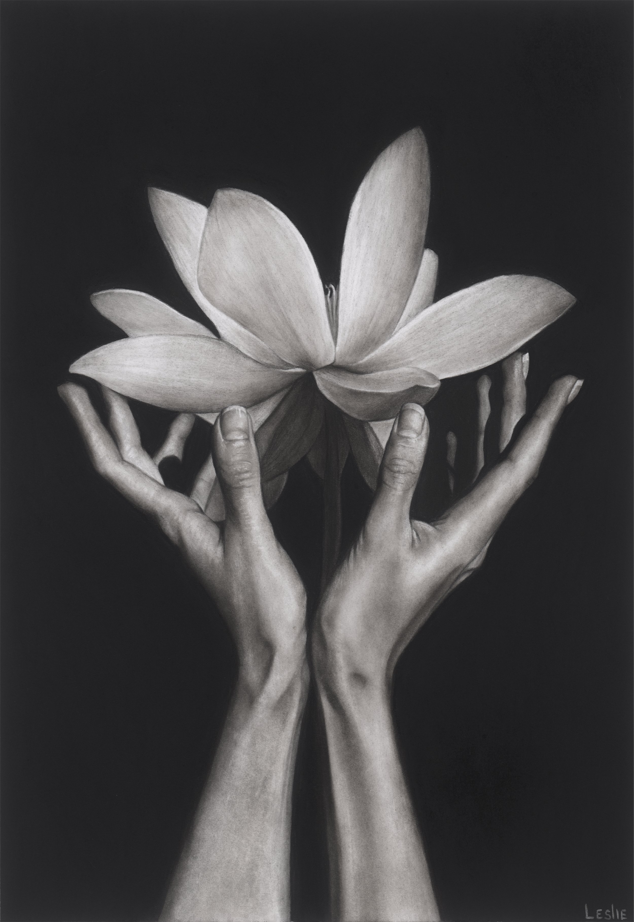 Nurture, 2026. Charcoal on paper, 56.5x39 cm