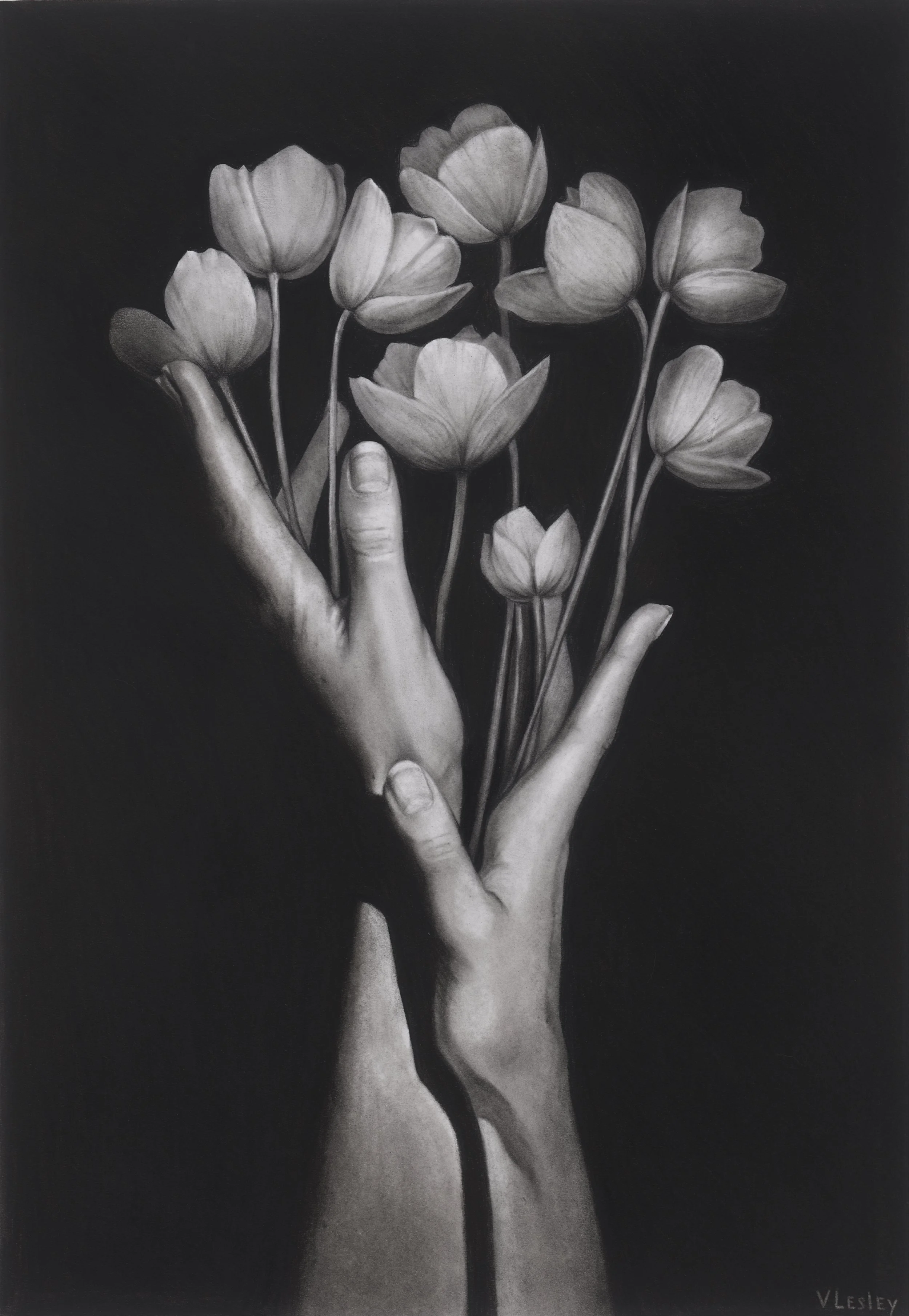 Silent bloom, 2025. Charcoal on paper, 55.5x39 cm