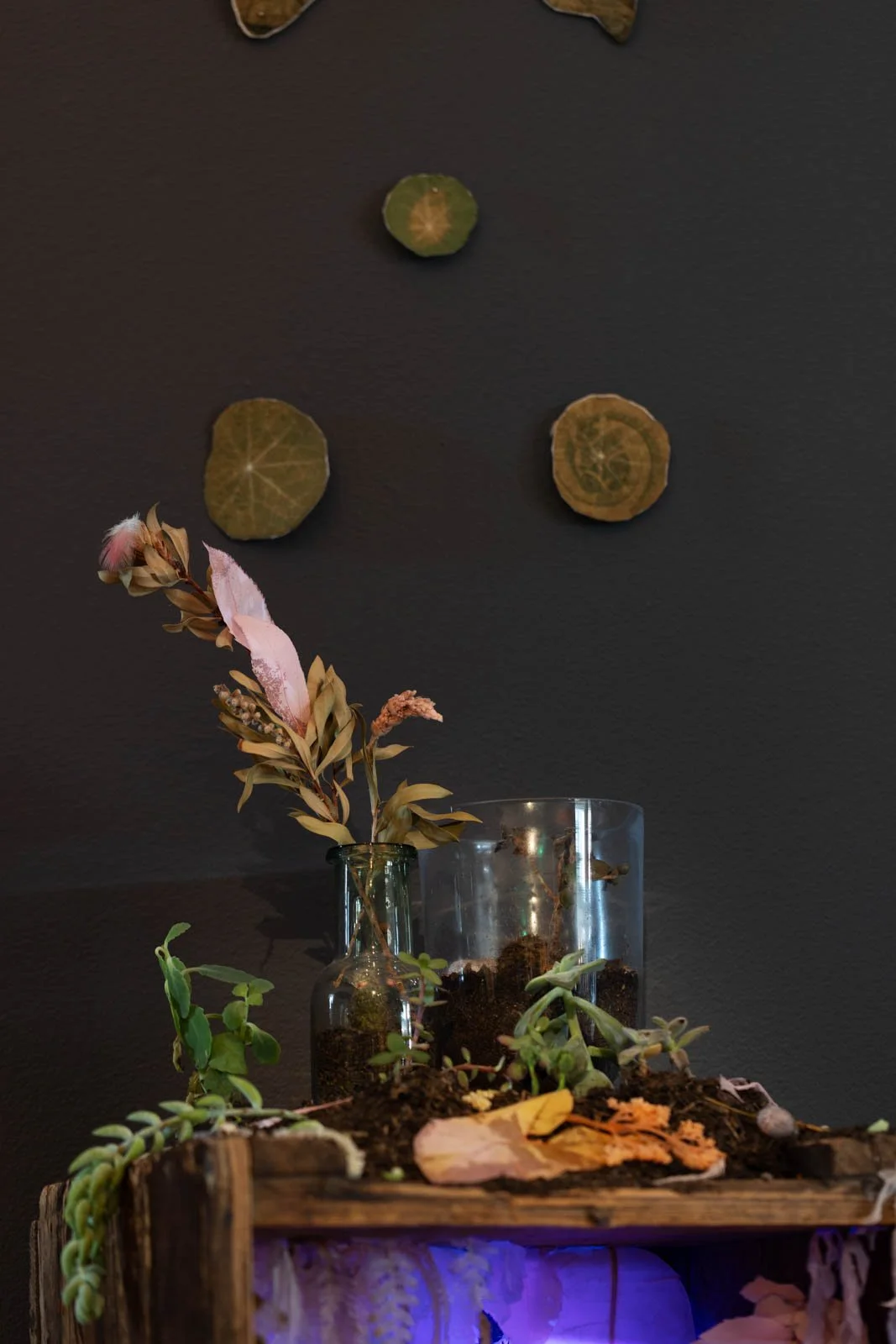 Brenda Clouten Memorial Award_Install Photos_0044_WEB.jpg