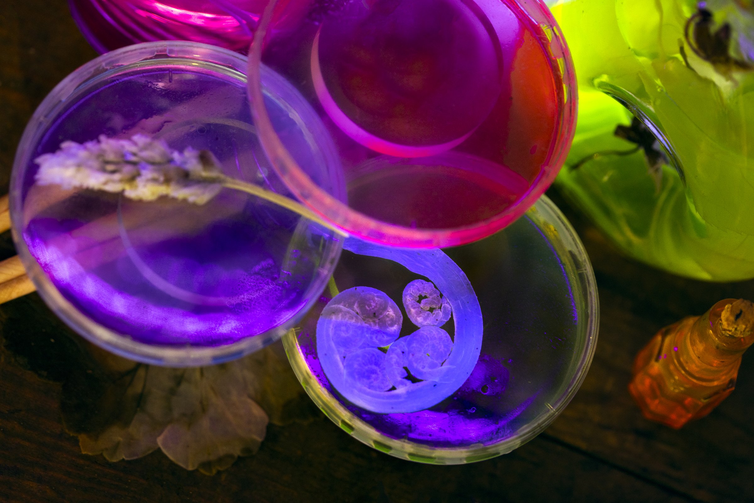 Eternity - ER Photography--9.jpg