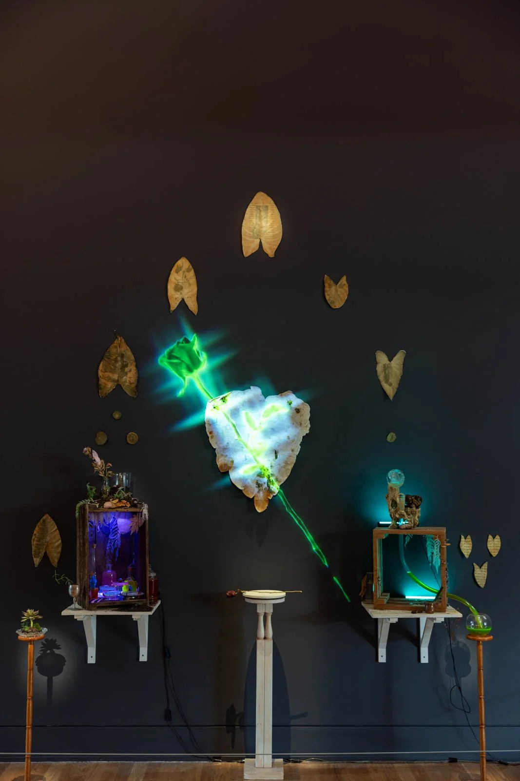 Brenda Clouten Memorial Award_Install Photos_0033_WEB.jpg