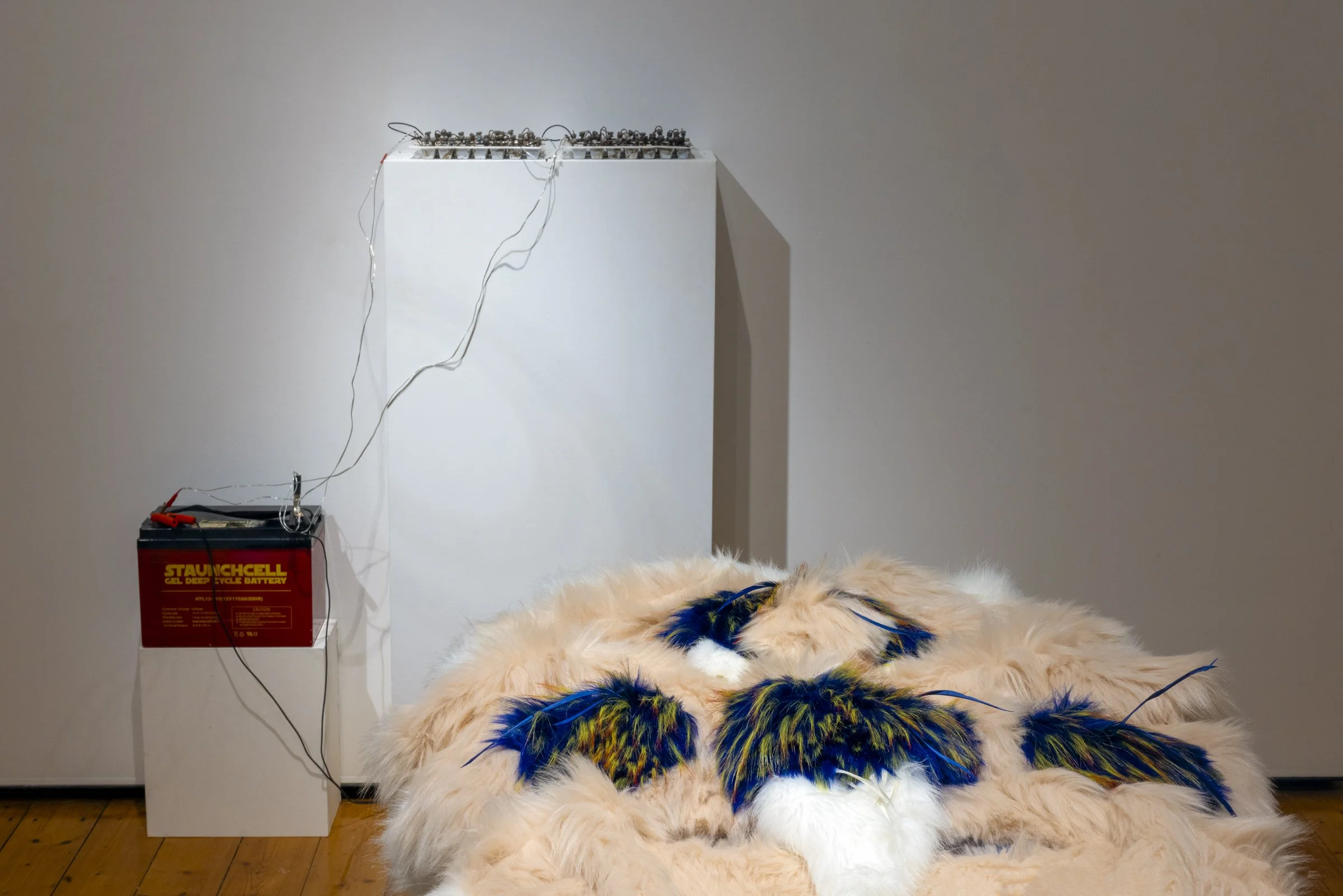 Eternity - ER Photography--30.jpg