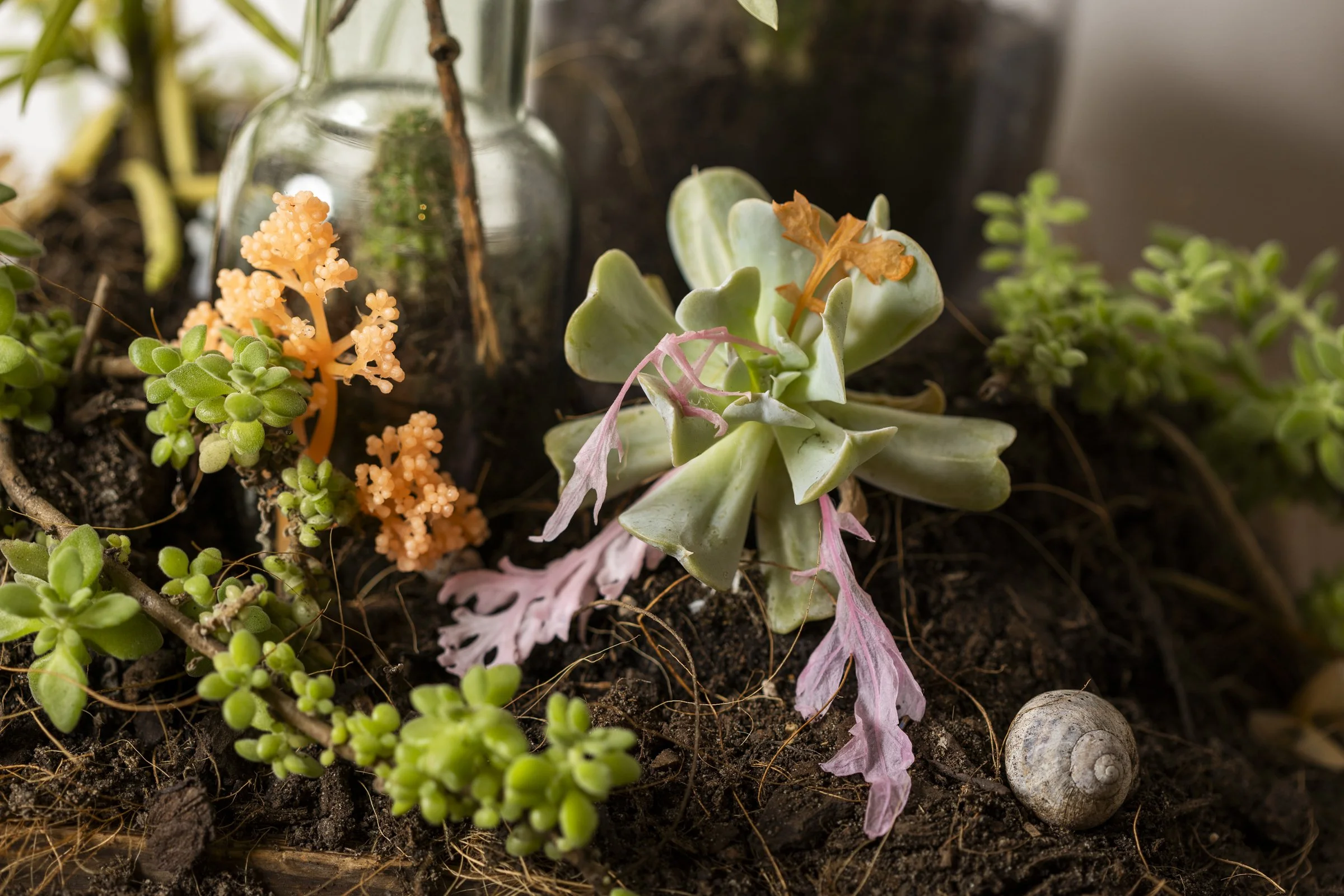 Eternity - ER Photography-1417.jpg