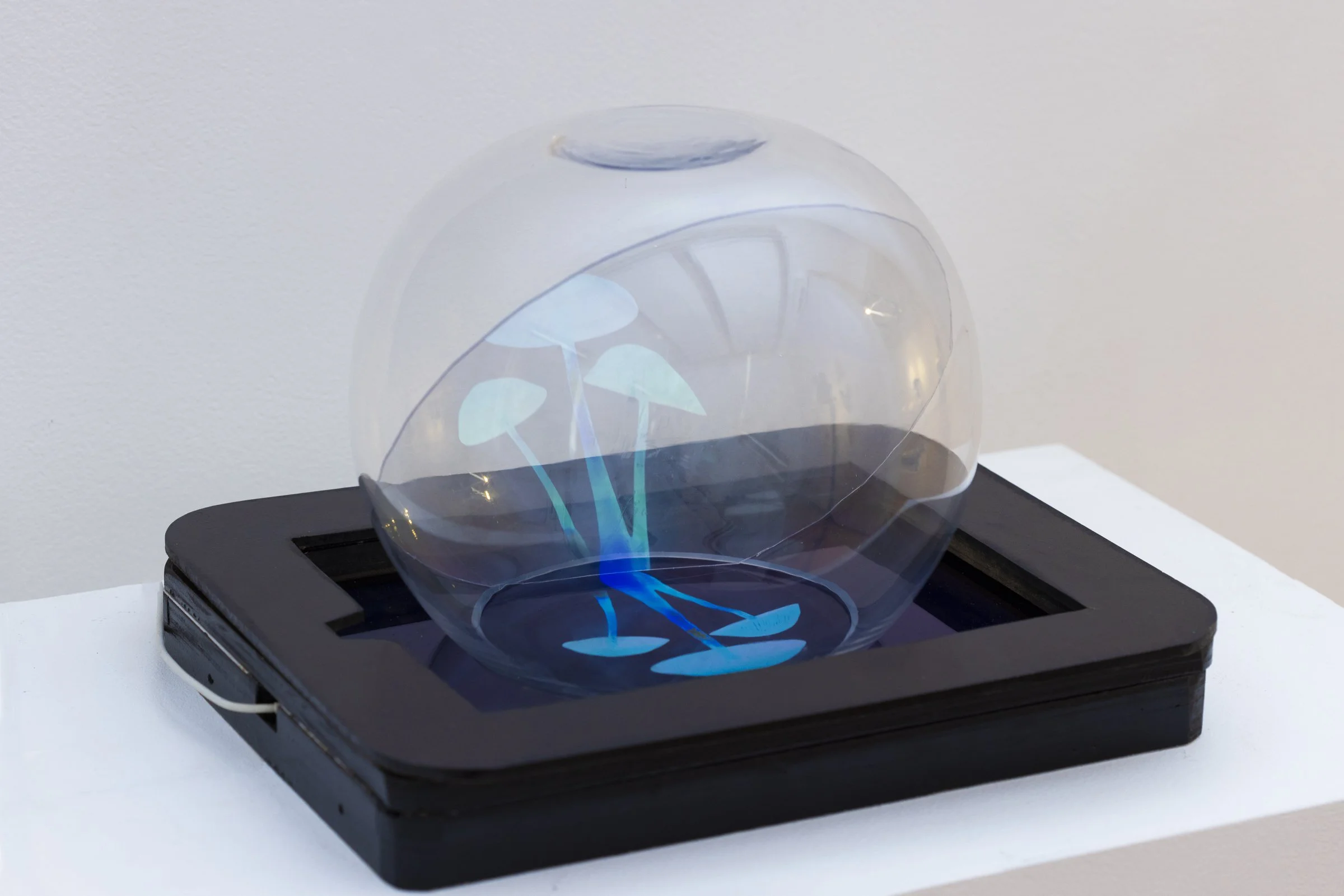 Eternity - ER Photography--10.jpg