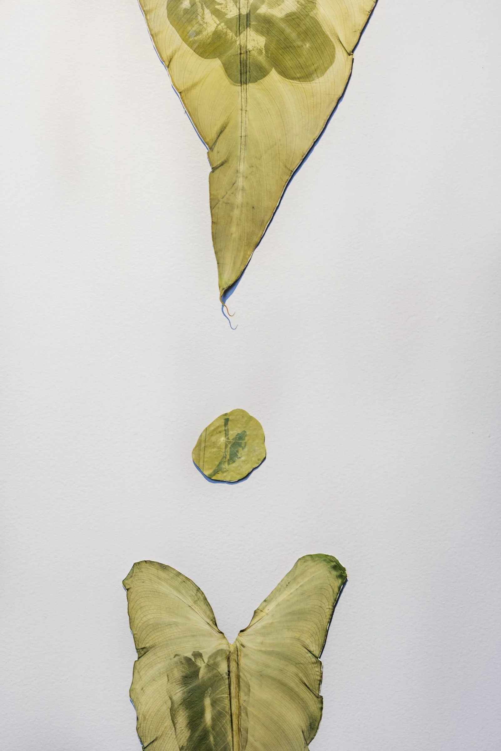 Eternity - ER Photography--5.jpg