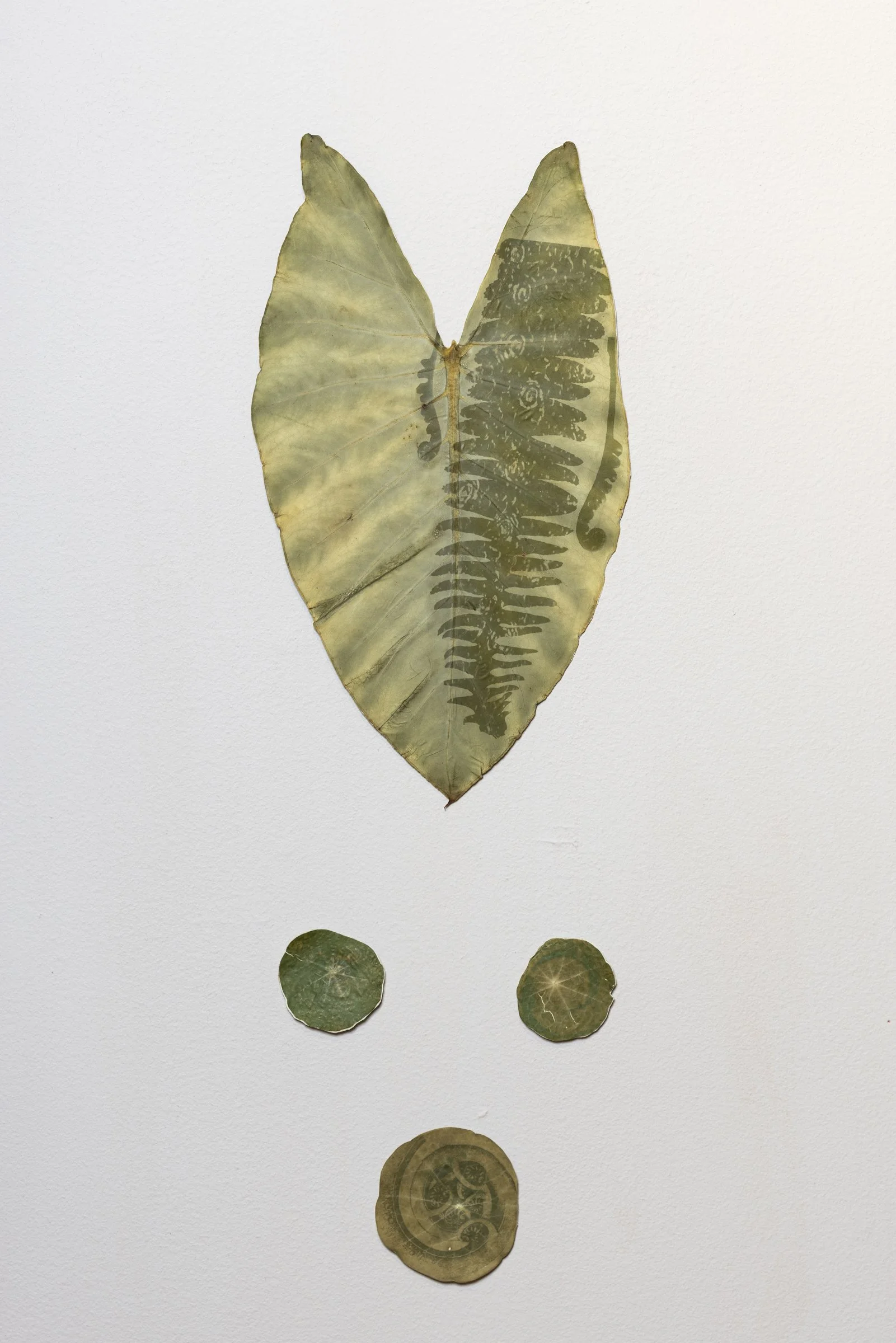 Eternity - ER Photography-1429.jpg