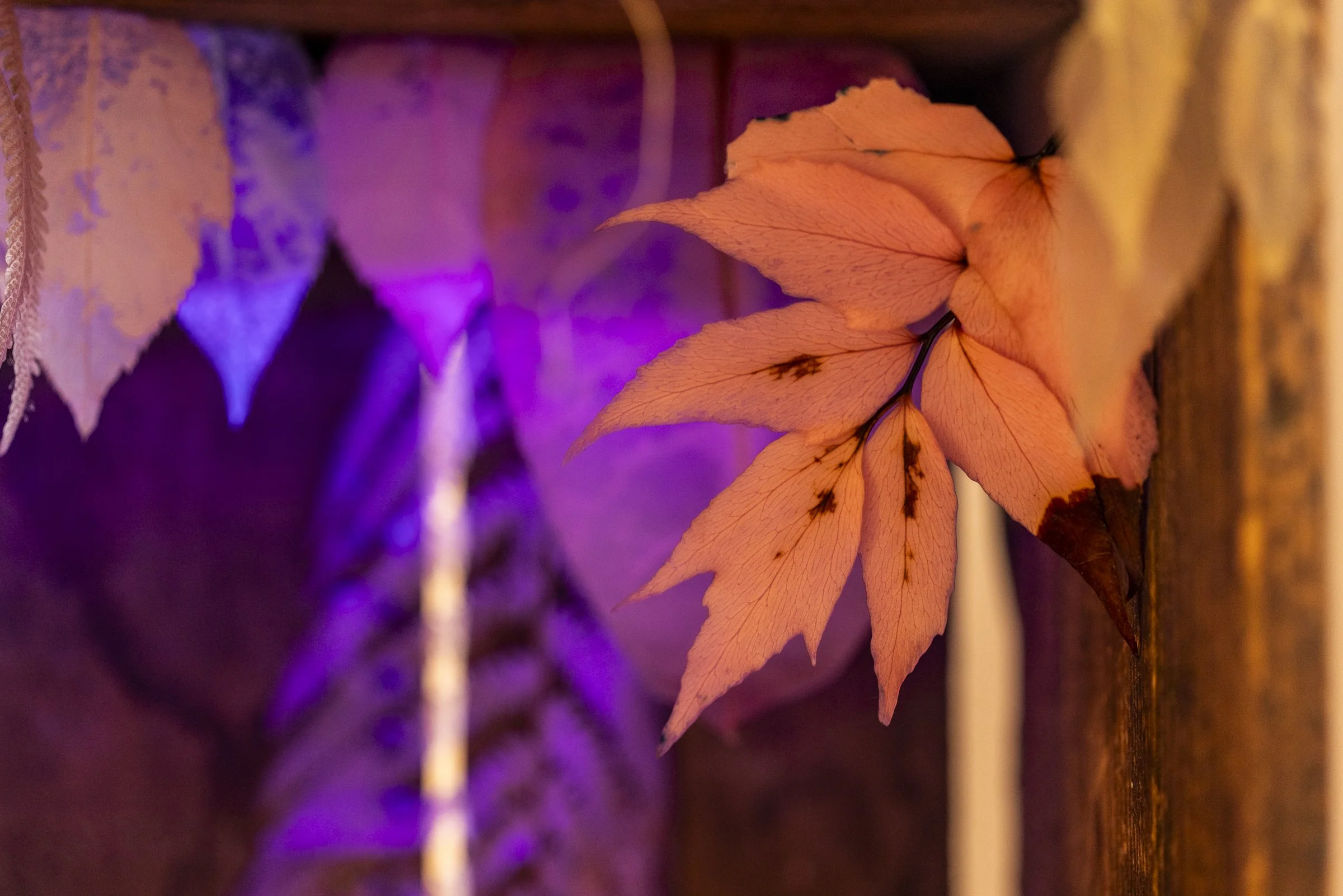 Eternity - ER Photography-1454.jpg