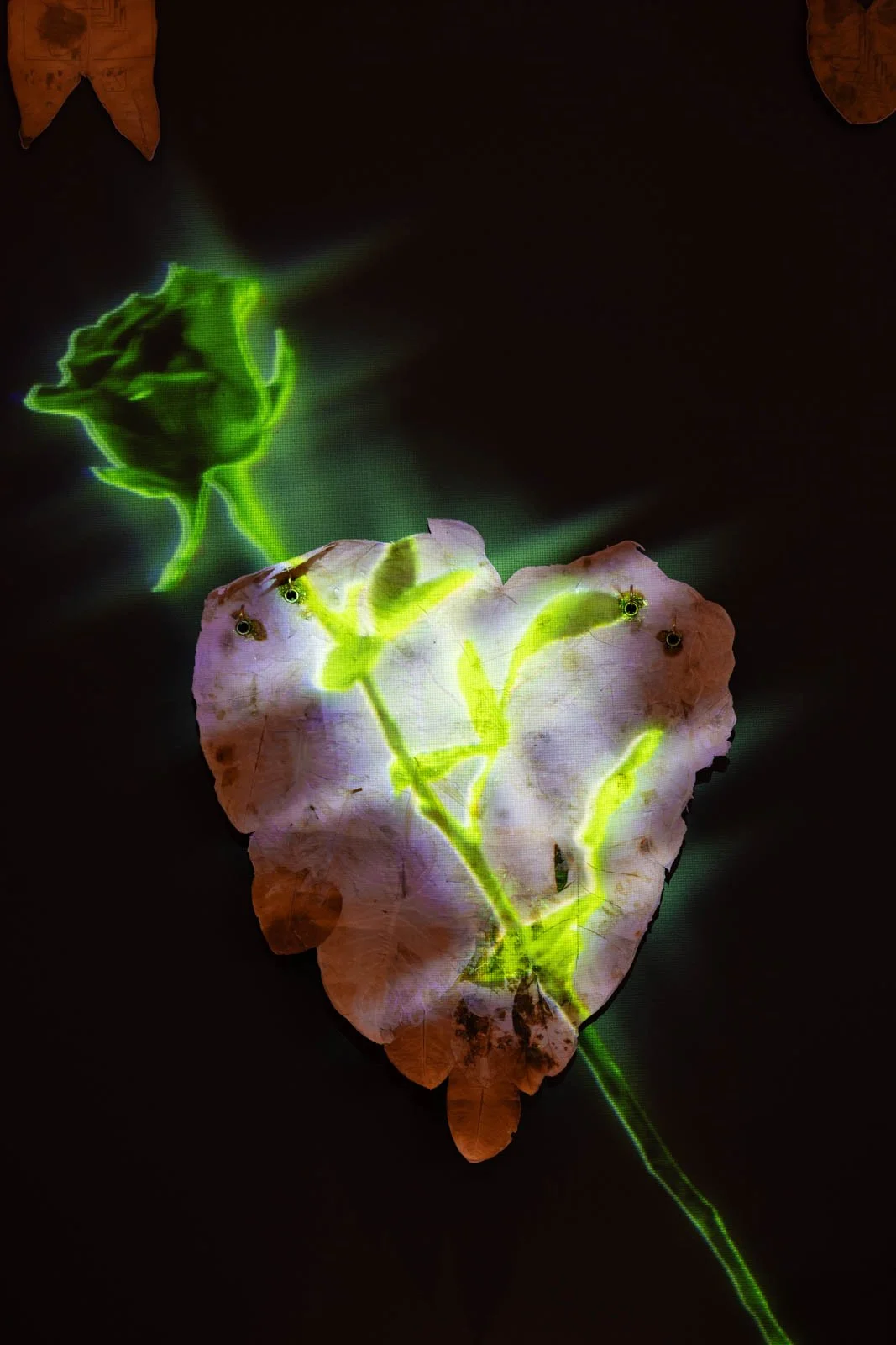 Brenda Clouten Memorial Award_Install Photos_0040_WEB.jpg