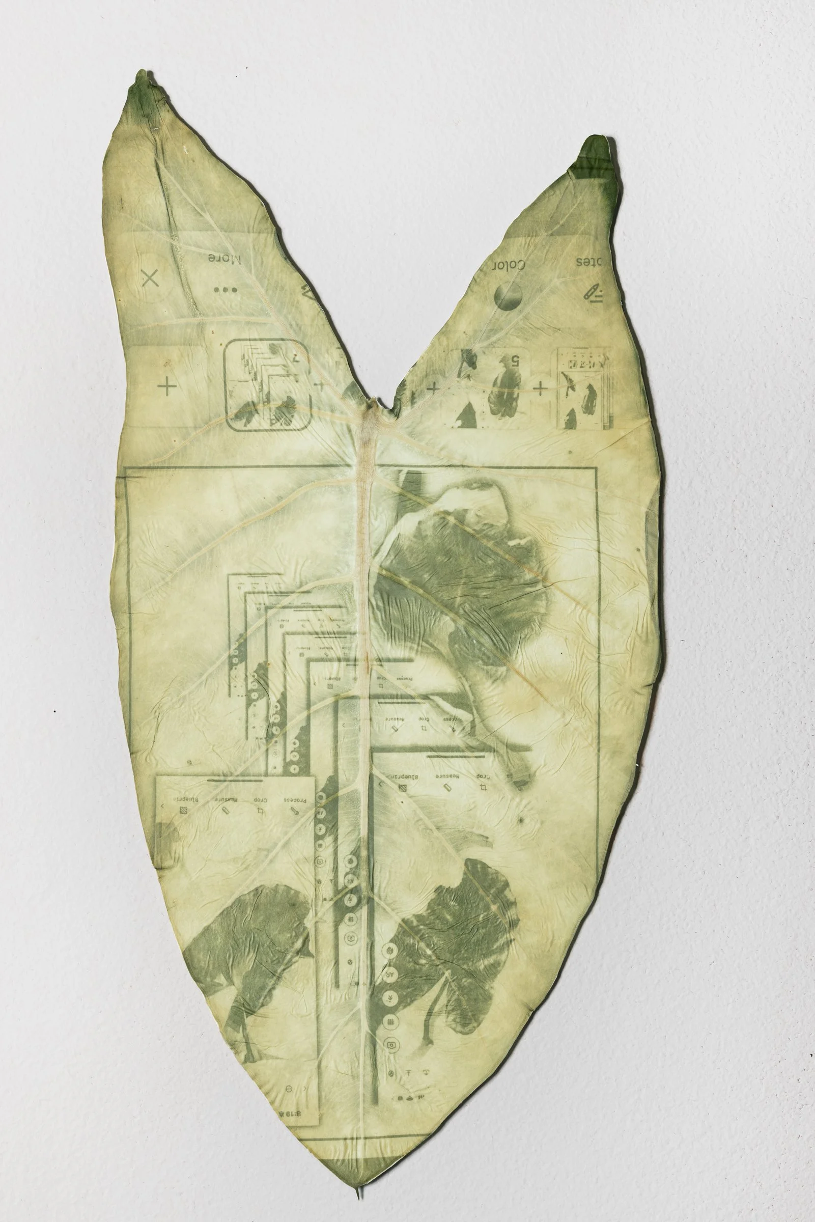 Eternity - ER Photography--6.jpg