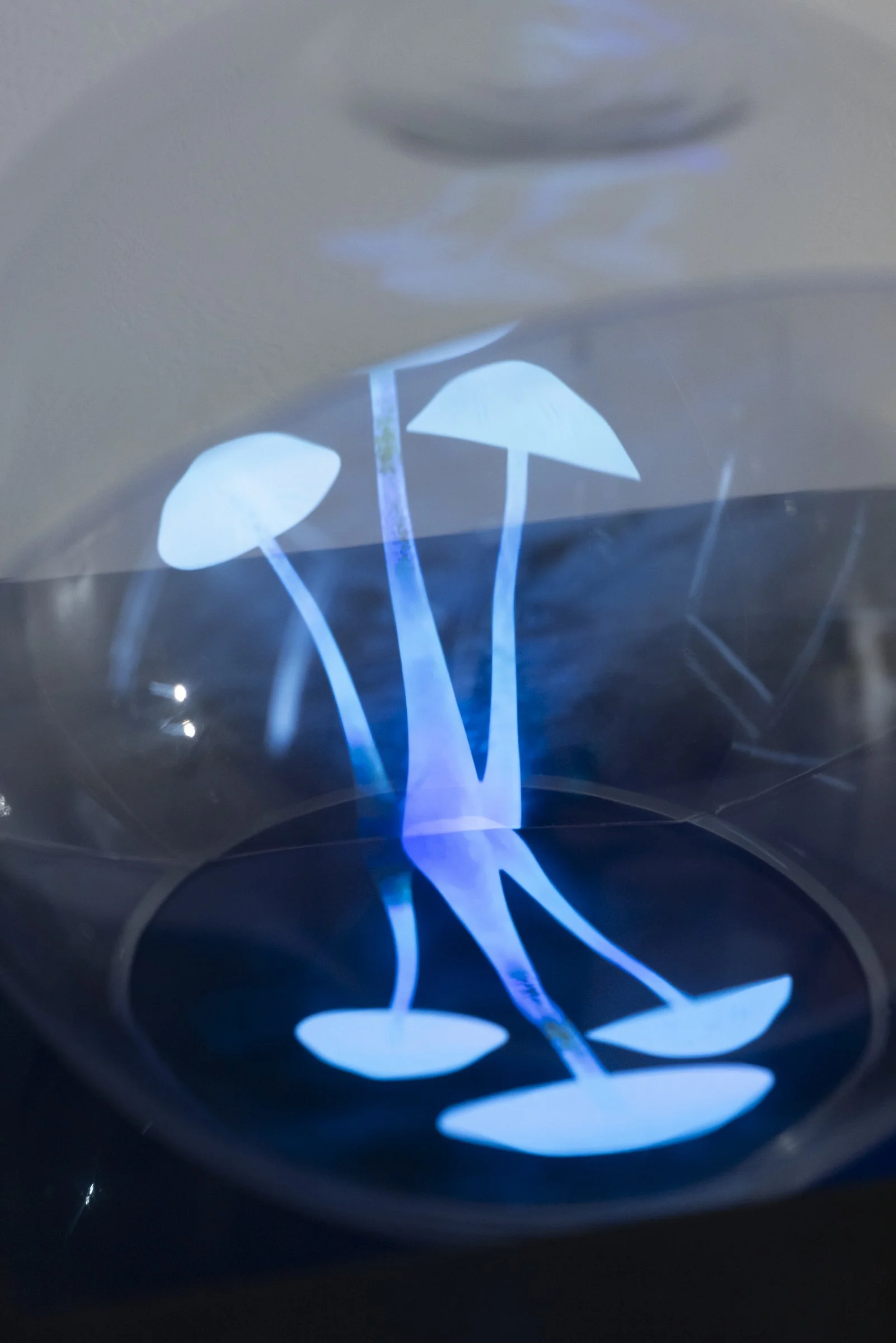 Eternity - ER Photography-1470.jpg