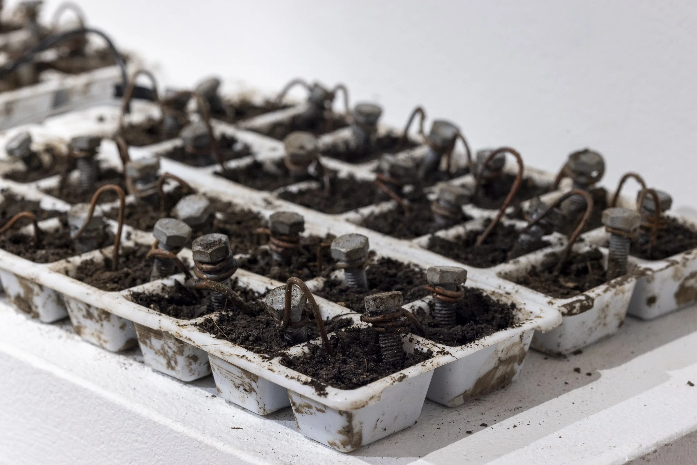 Eternity - ER Photography-1481.jpg