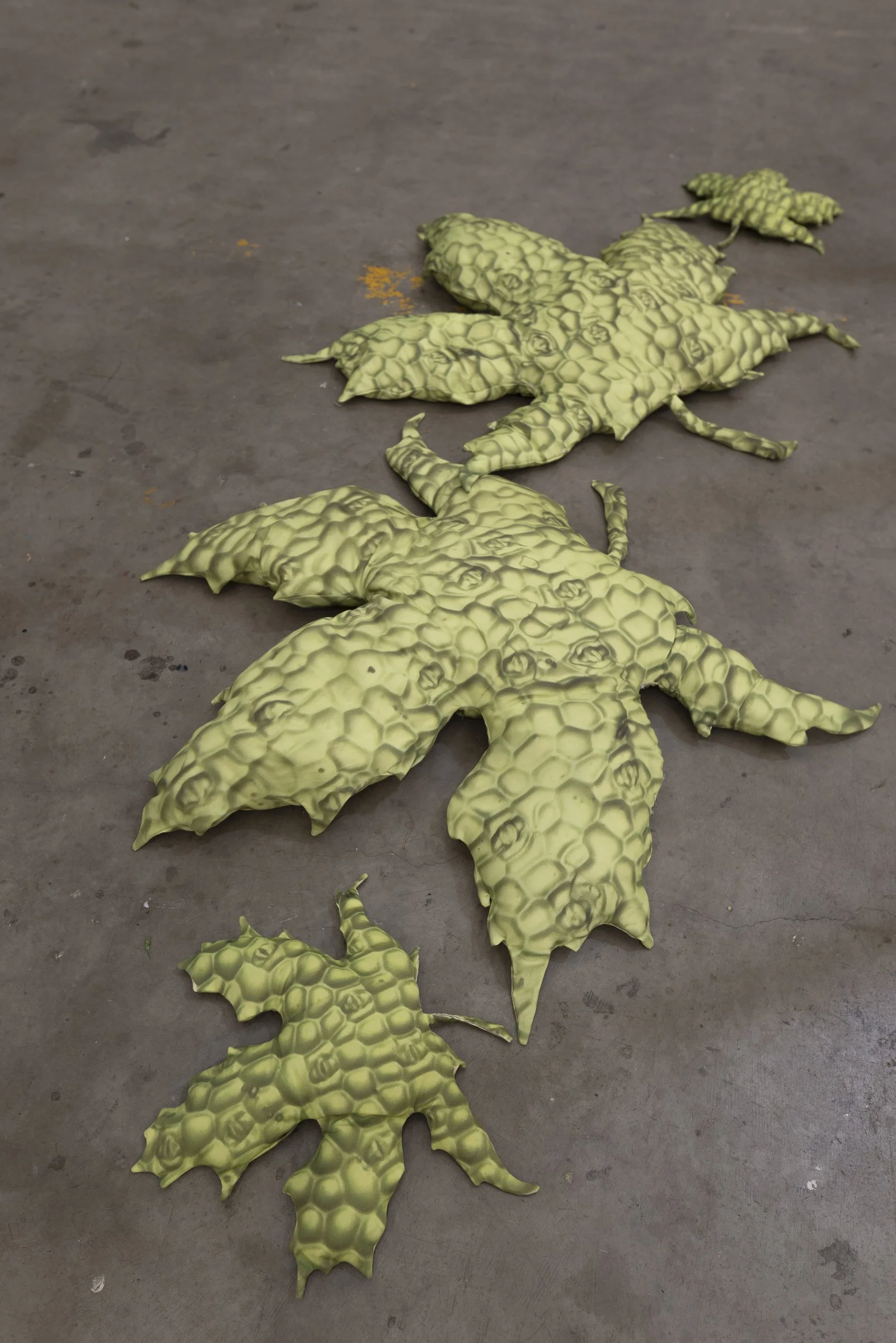 Sky Rivers - Creator Incubator-2021.jpg