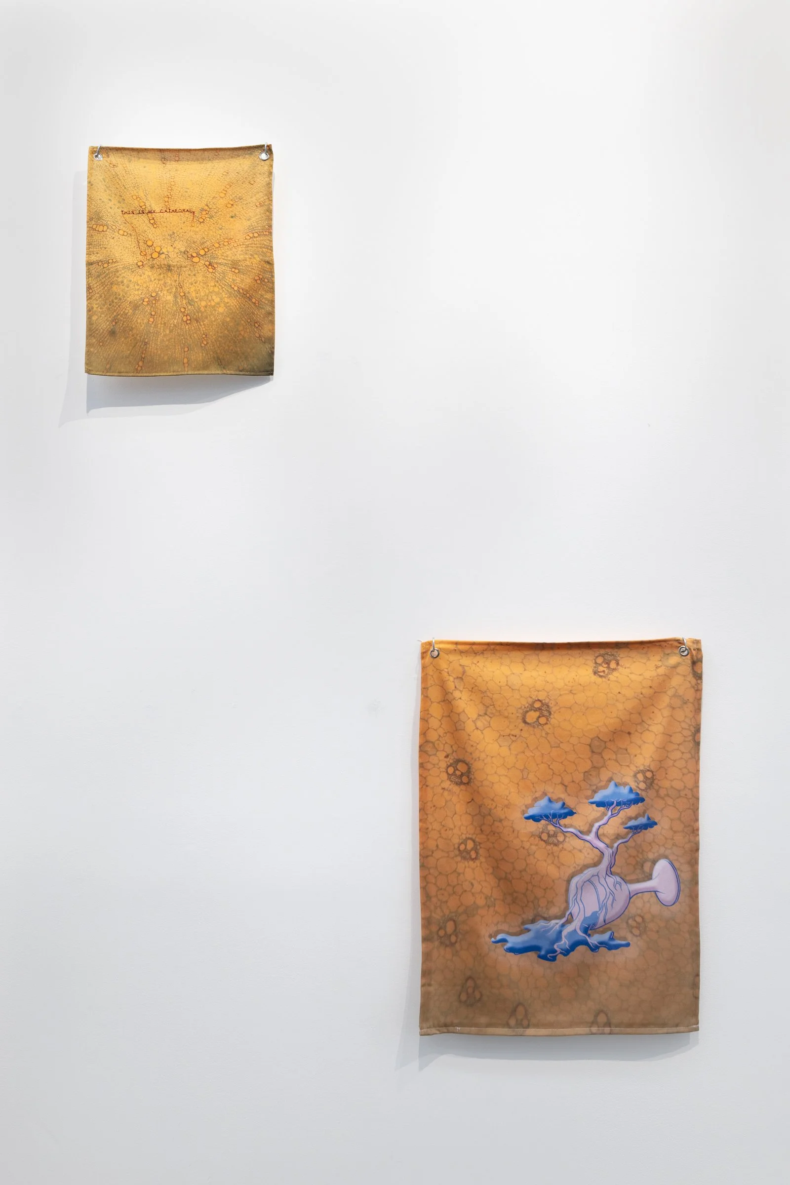 Sky Rivers - Creator Incubator--21.jpg