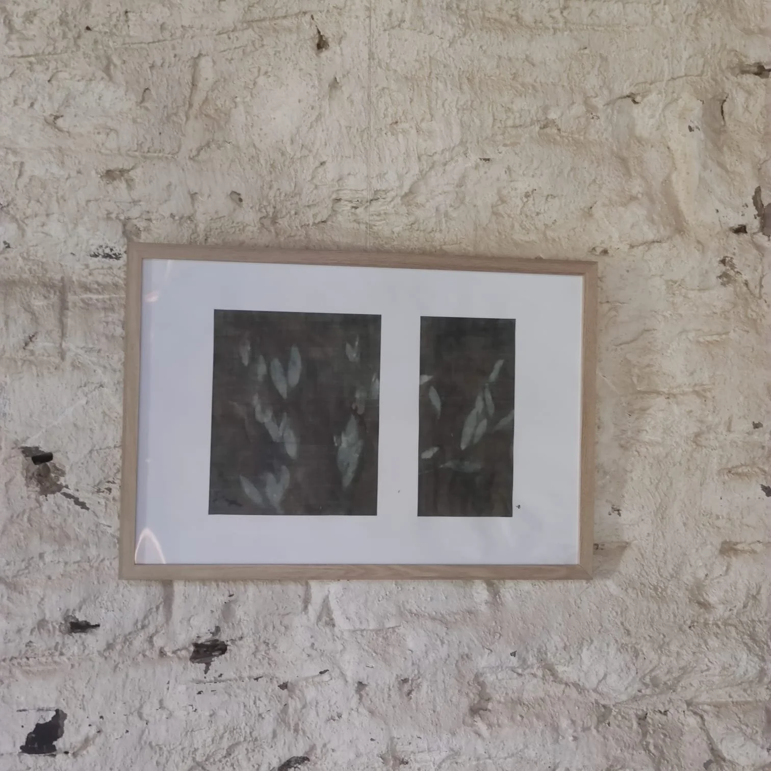 WhatsApp Image 2025-10-10 at 19.33.56.jpeg