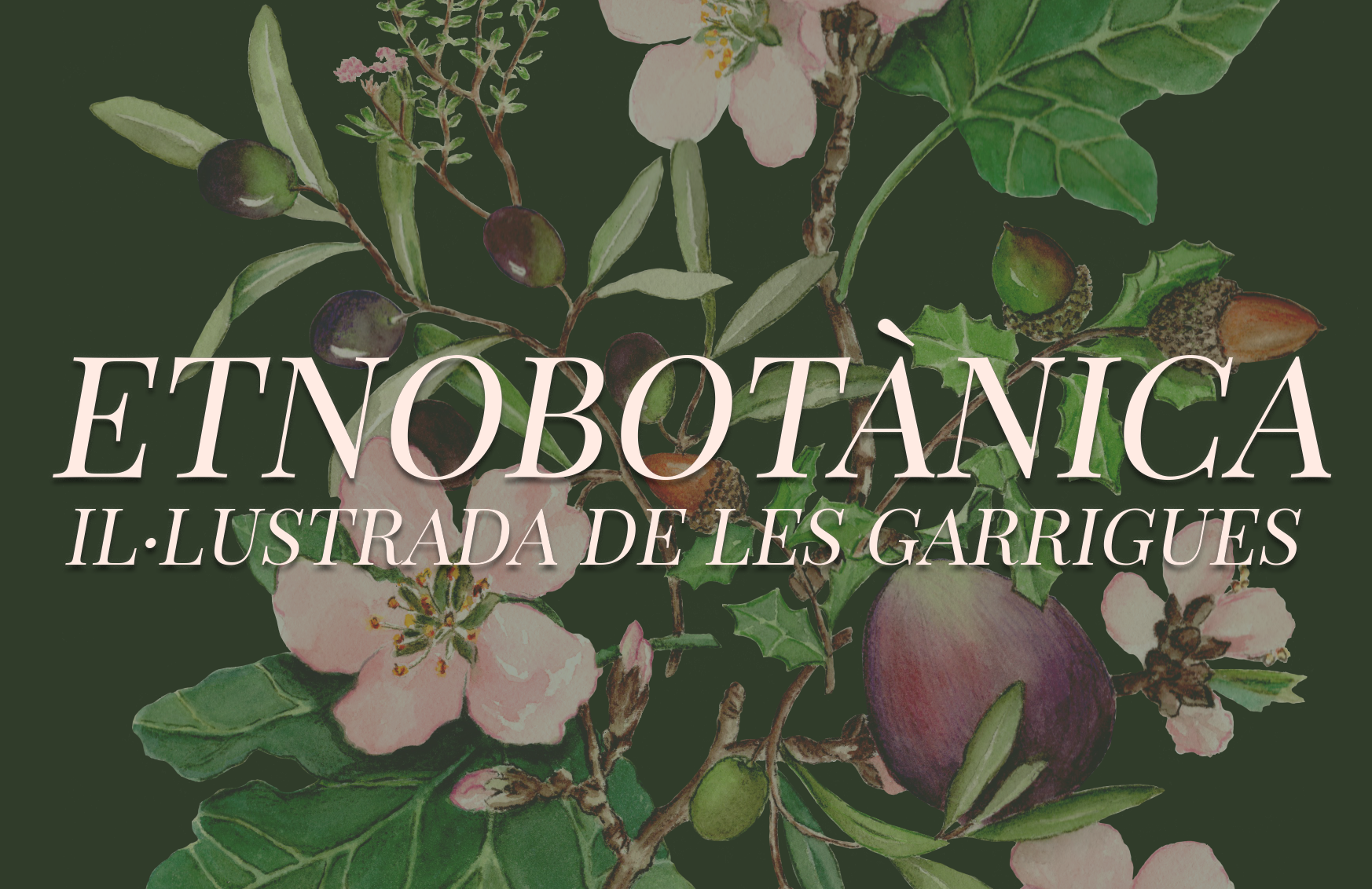 ETNOBOTÀNICA IL·LUSTRADA DE LES GARRIGUES