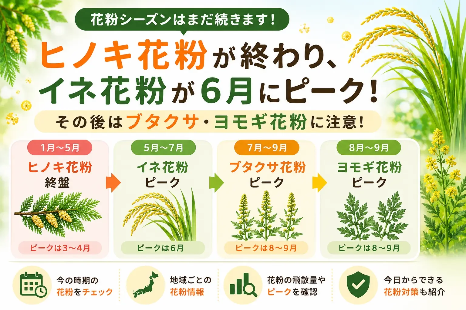 花粉症は夏も続く？「もう春は終わったのに…」と感じる方へ