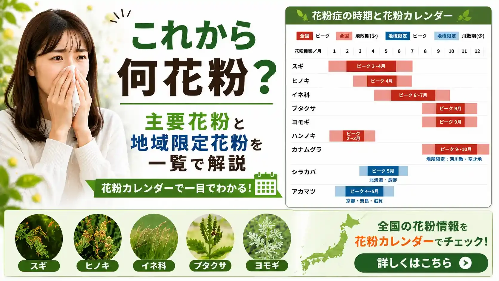 これから何花粉？主要花粉と地域限定花粉を一覧で解説