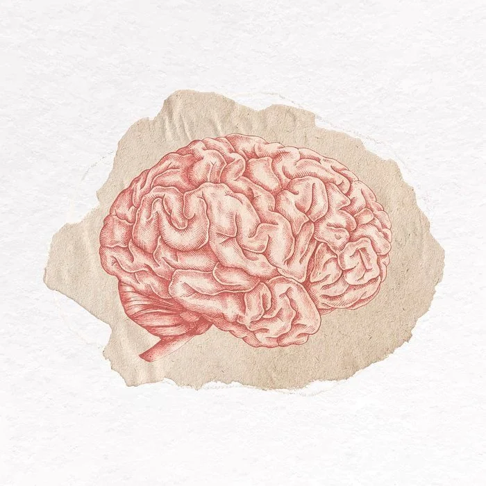 What Is IFS Therapy? Understanding Parts, Protectors, Exiles, and the Self