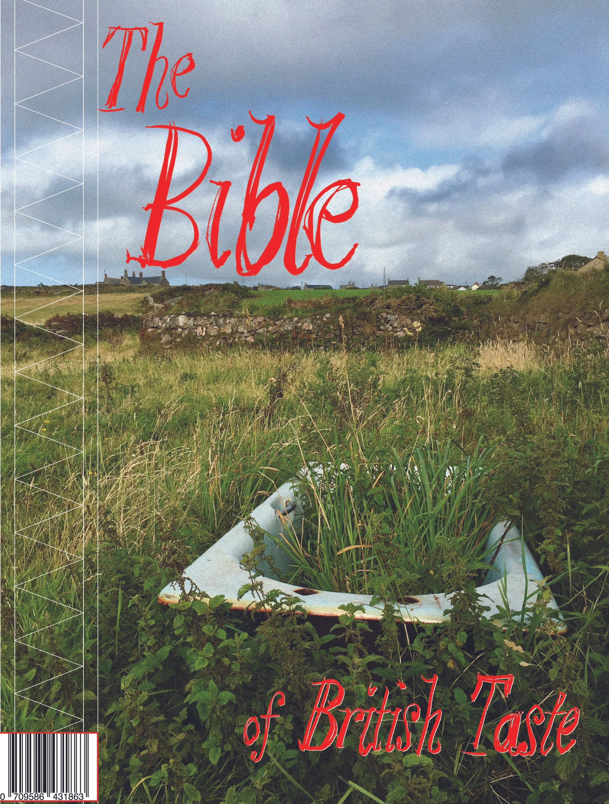 Cover of a book titled 'The D'ill of British Taste' with a rural landscape background showing green grass, houses, and a cloudy sky. There is a white trash bin and some plants at the bottom.