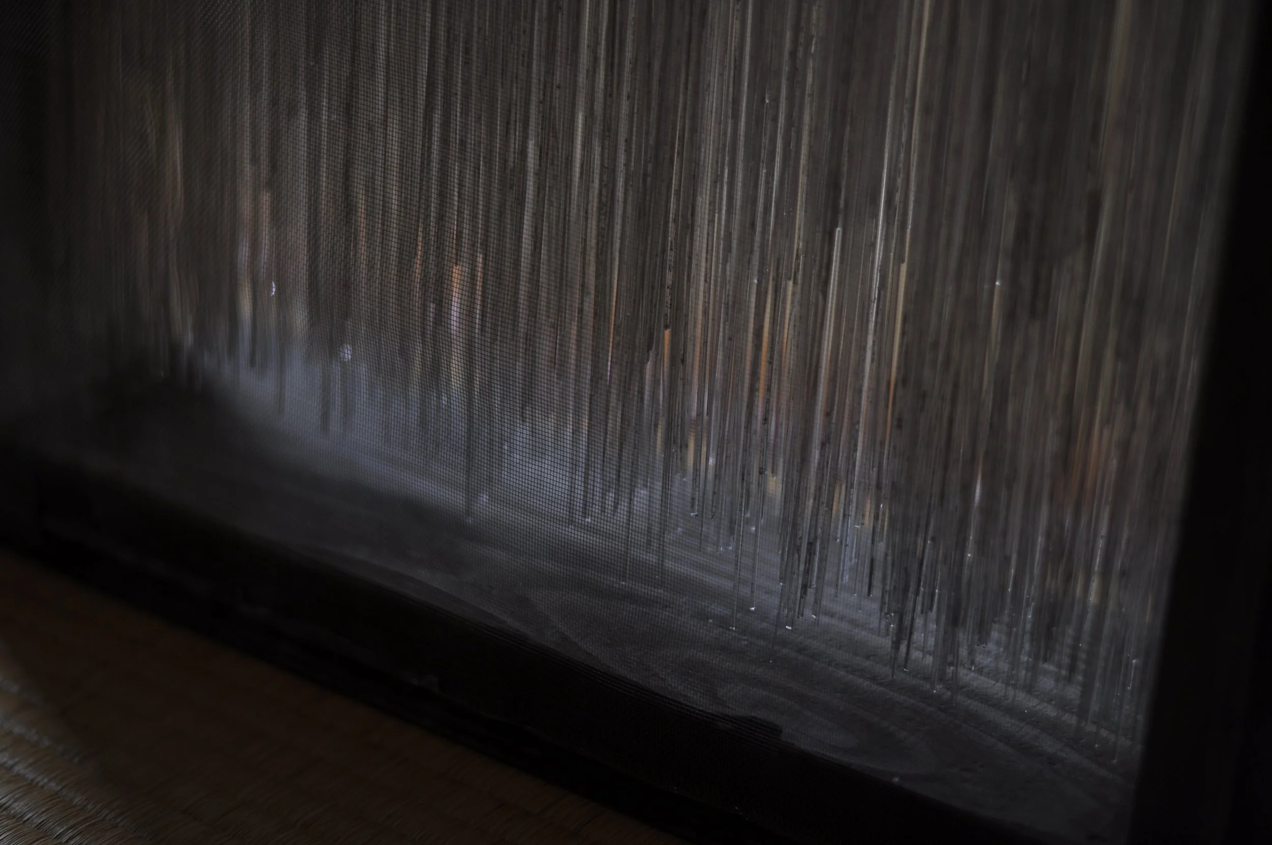 DSC_0656.JPG