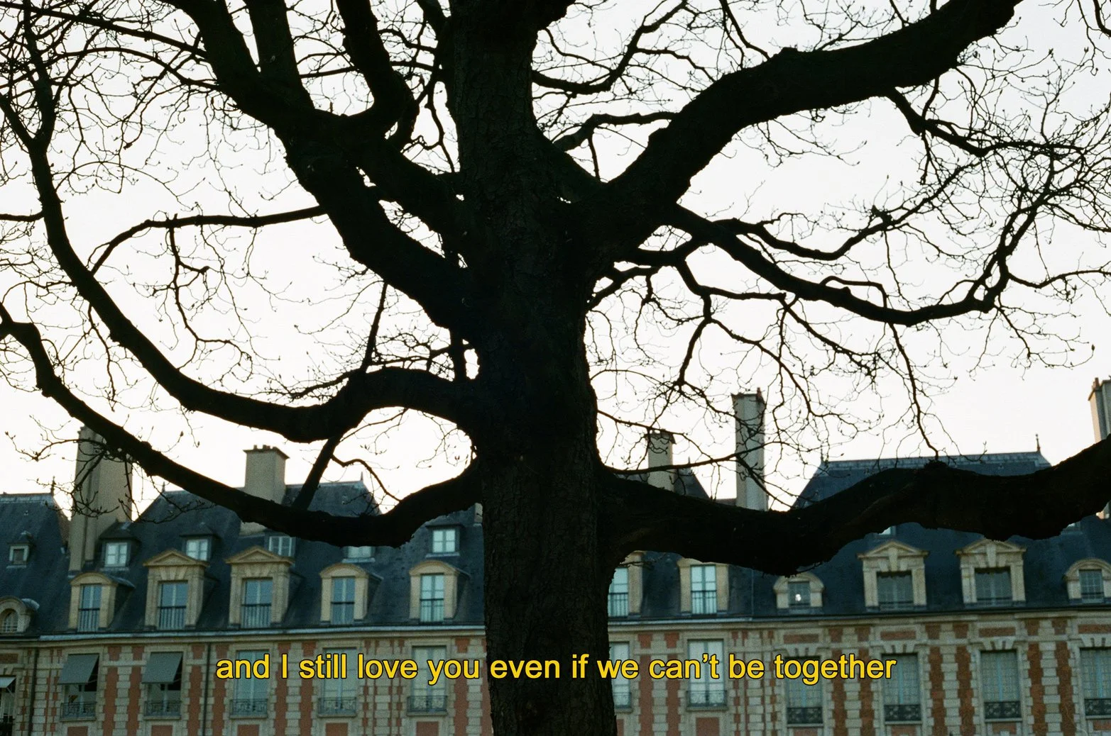 Analog_subtitles-24.jpg