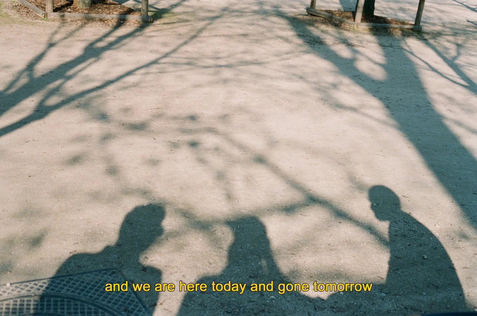 Analog_subtitles-28.jpg