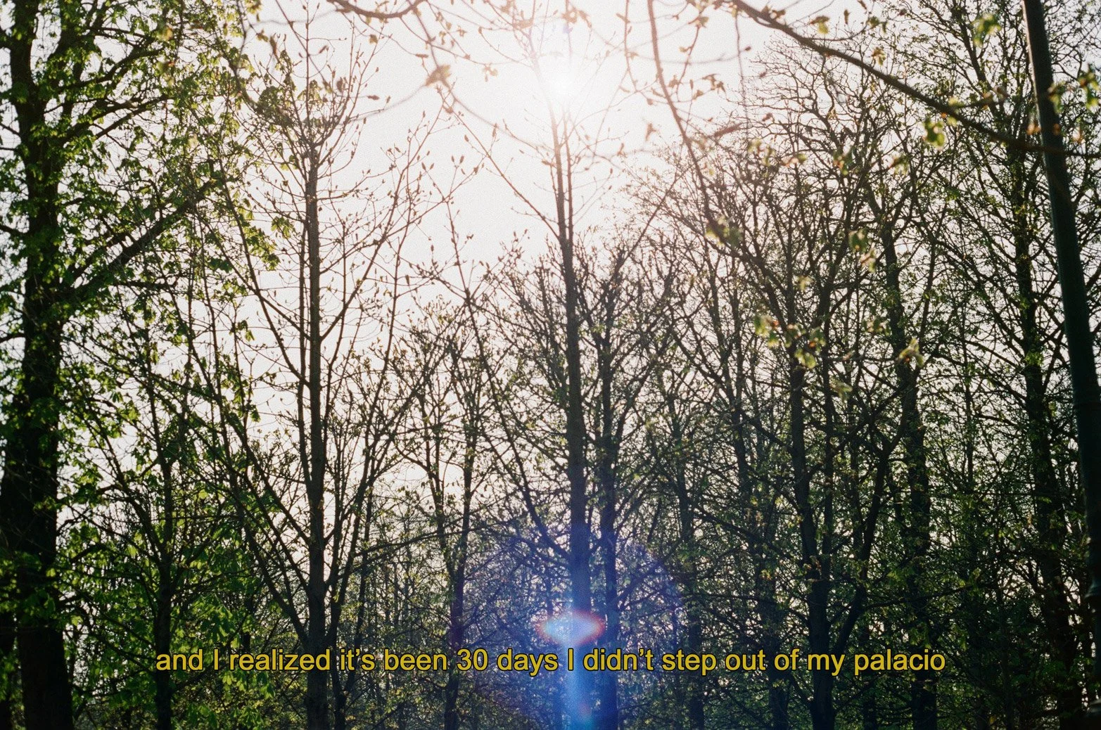 Analog_subtitles-1.jpg