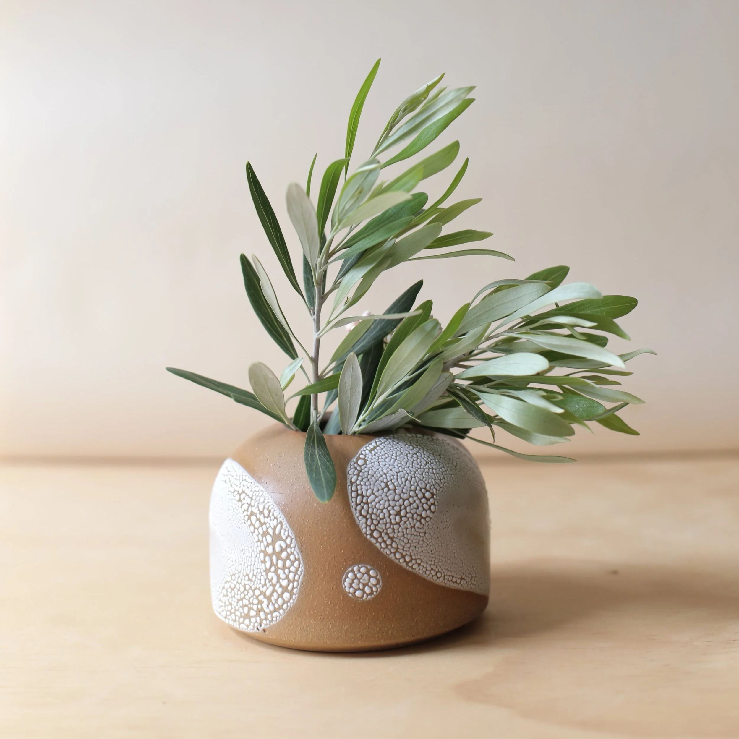 Earthy brown ceramic dome vase
