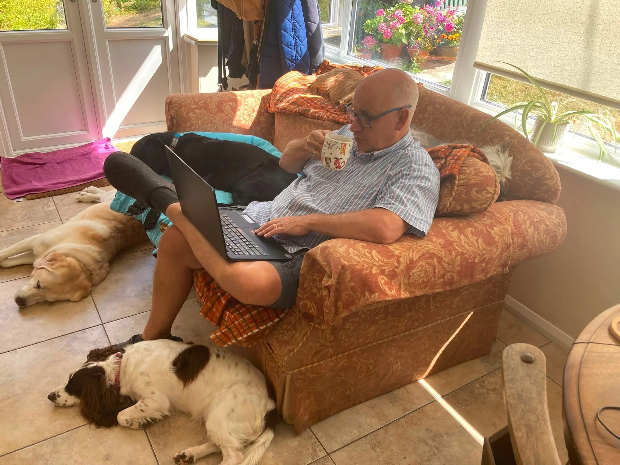 It&rsquo;s coffee time,
But how many dogs can you spot? #whereswally #homeboardingfordogs #doggydaycare #coffeetime #suffolk