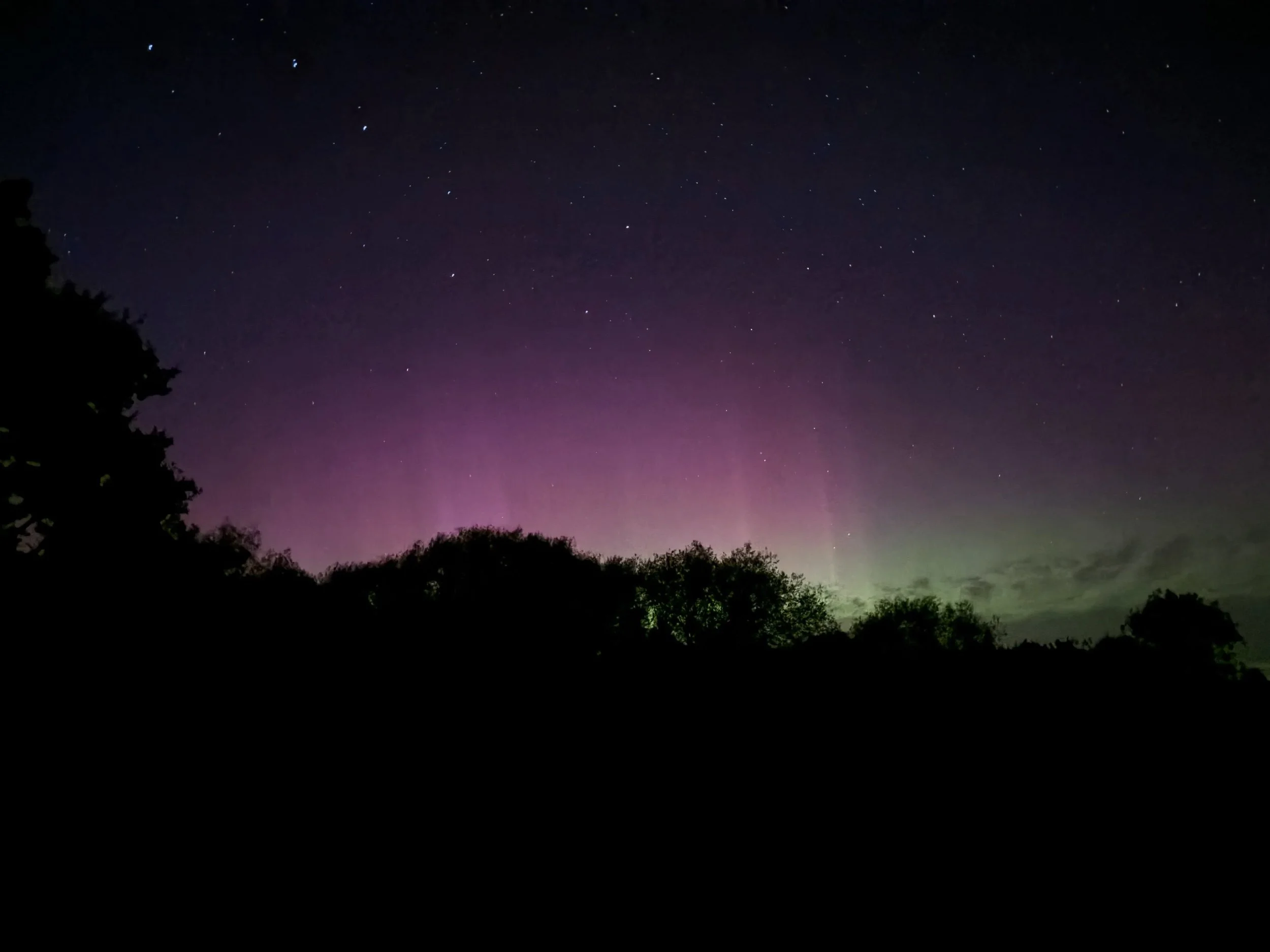 First aurora of the winter #norternlights #dogseyeview #doggydaycare #homeboardingfordogs #halesworth