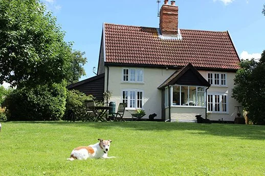 Our beloved dog Mazie lying on a grassy lawn in front of Oak Tree Cottage, a white house with a red-tiled roof and a chimney, surrounded by green trees under a clear blue sky.