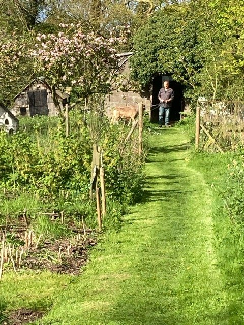 Nic, one of the owners of Pikes Paws, standing in the doorway of a small wooden shed in our garden with green grass and trees, including one with pink blossoms, and a fenced pathway.