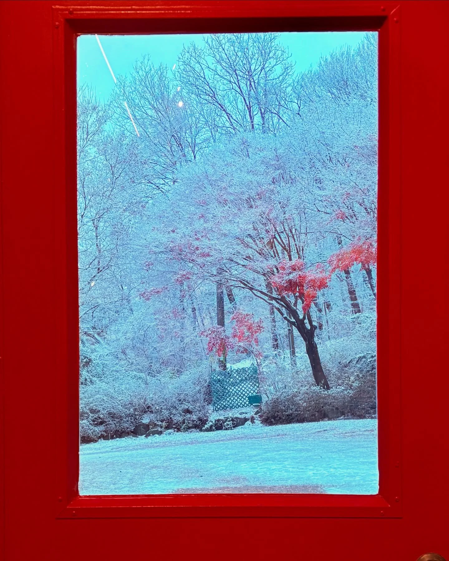 Burnsoo Song artwork — snow-covered winter trees framed in red, fiber art textile work