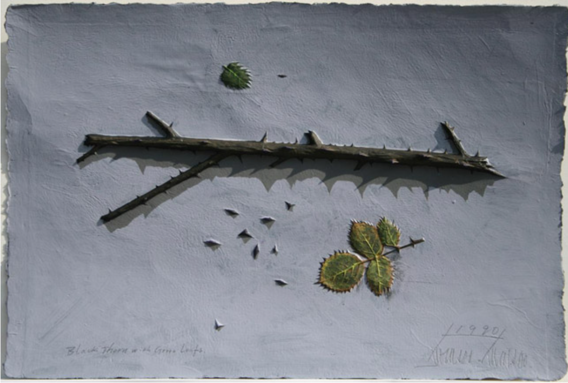 Burnsoo Song, fiber art detail — branch, seeds and leaves on textured grey ground, tapestry