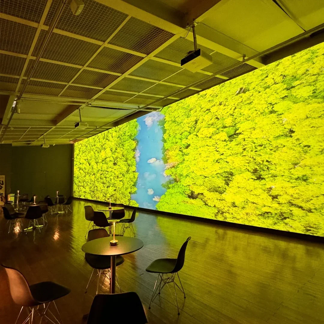 Digital installation view at a Burnsoo Song exhibition, immersive projection on large screen