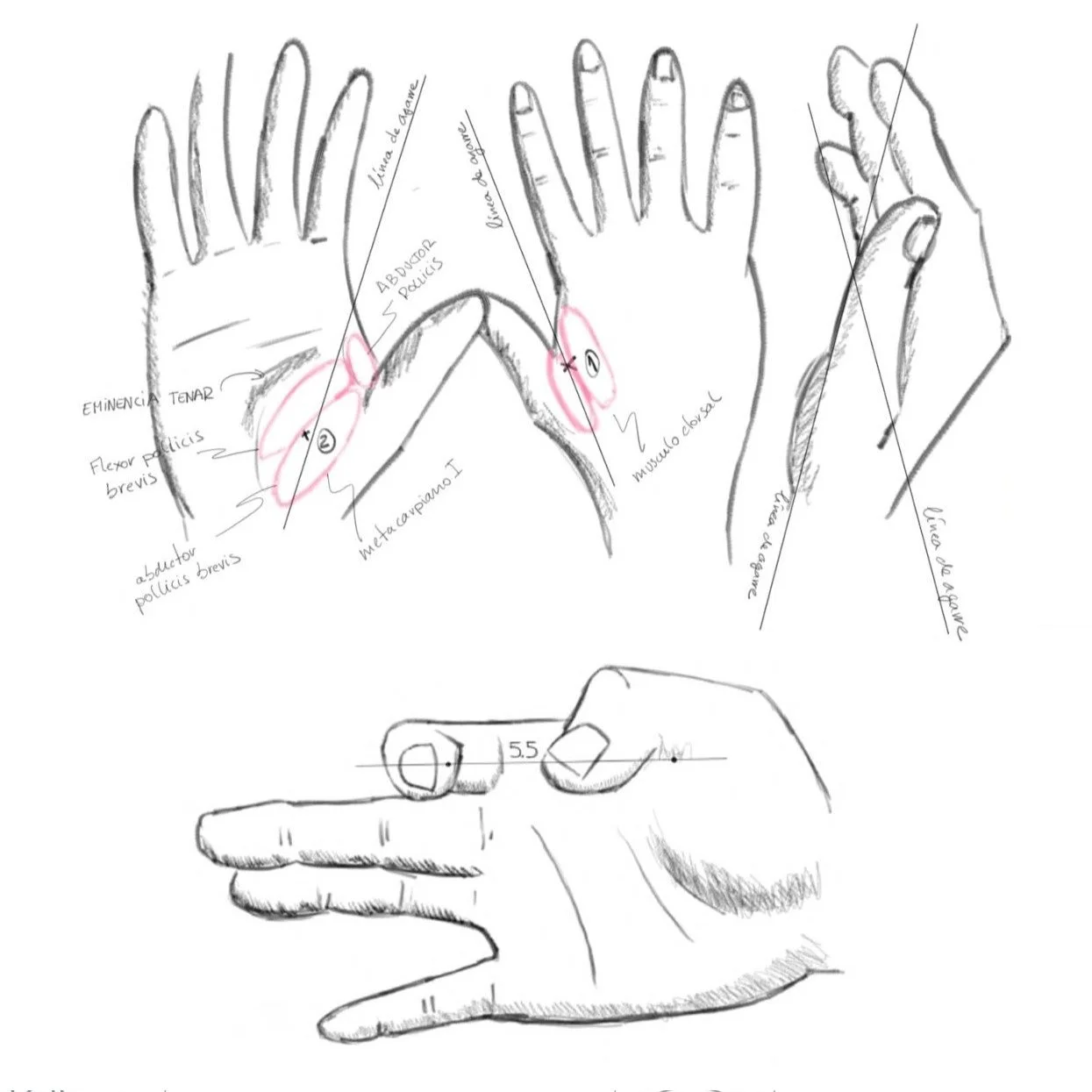 D_N_O Aguja ergonomia.jpg