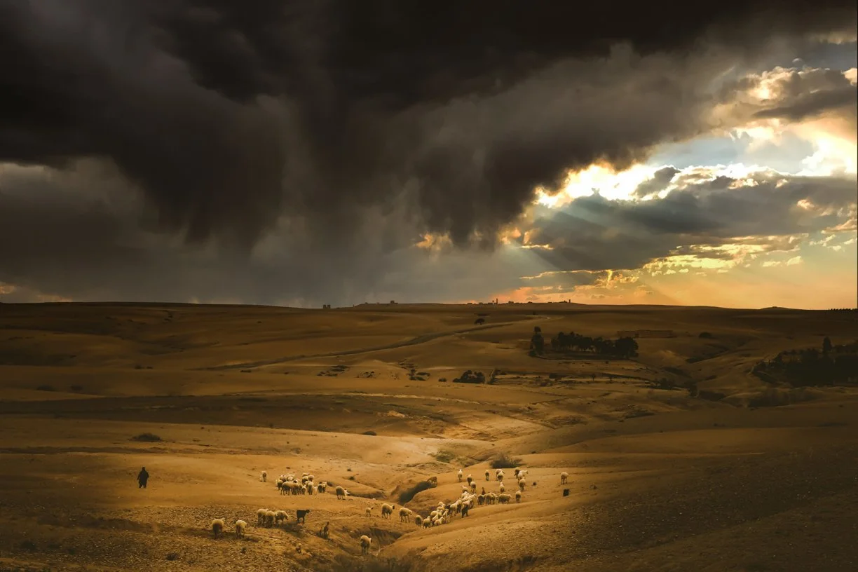After the Storm